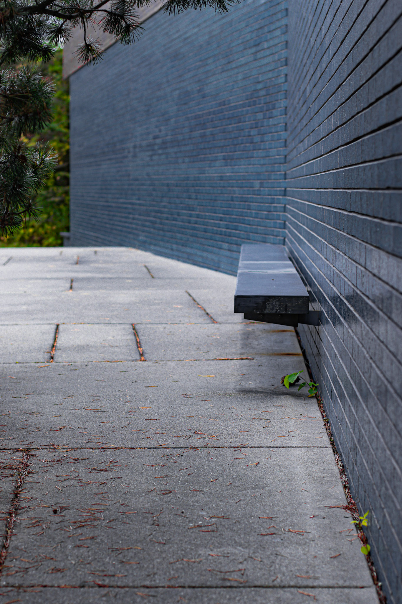Cranbrook Natatorium / Billie Tsien 99'
