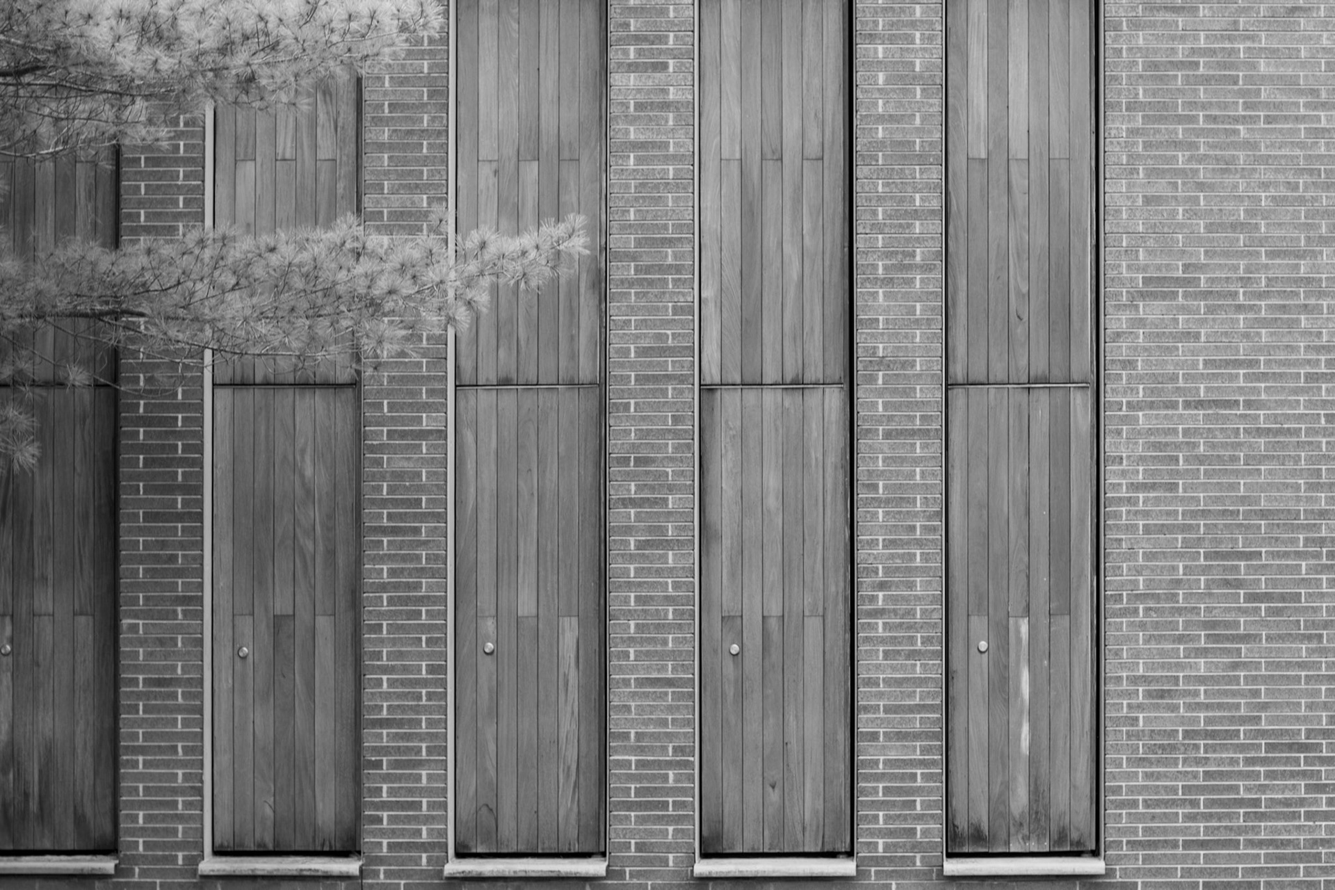 Cranbrook Natatorium / Billie Tsien 99'