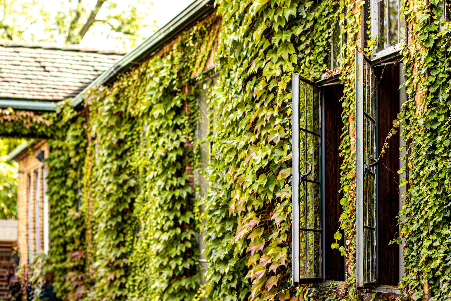 Cranbrook Campus / Eliel Saarinen 1920's