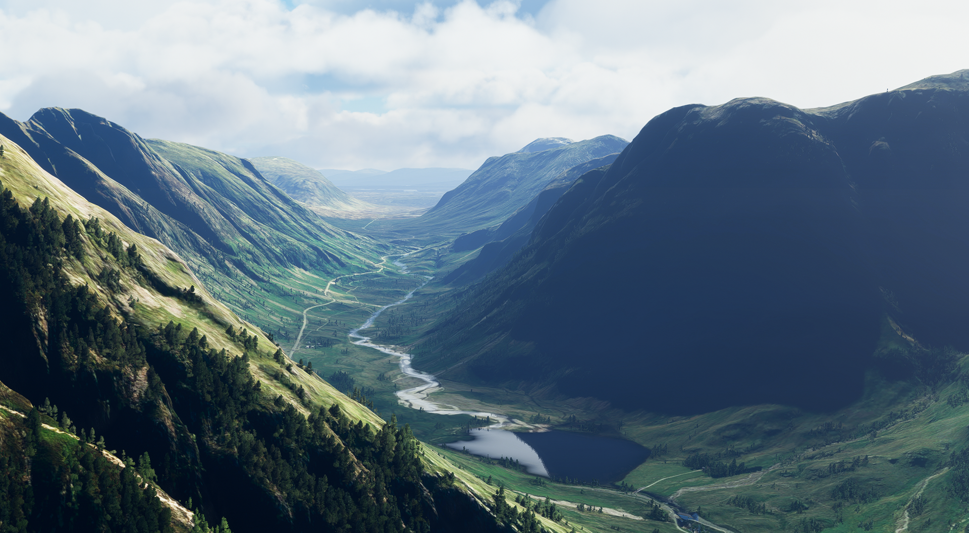 Microsoft Flight Simulator