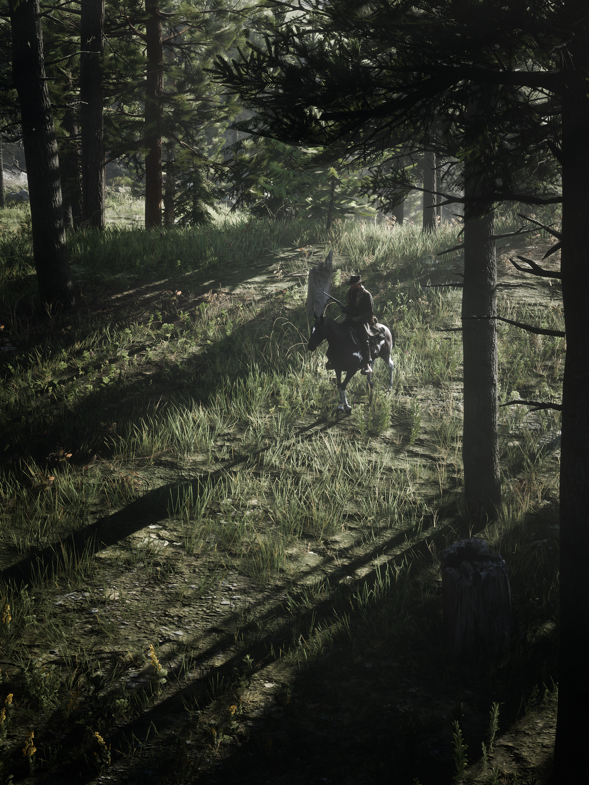 Red Dead Redemption 2