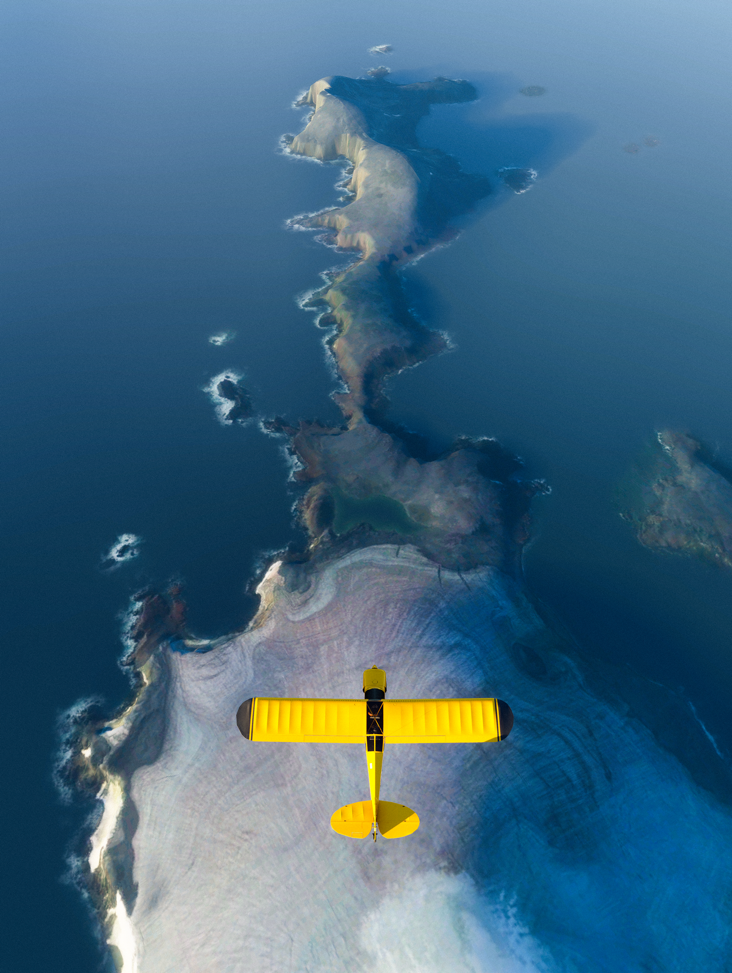 Microsoft Flight Simulator