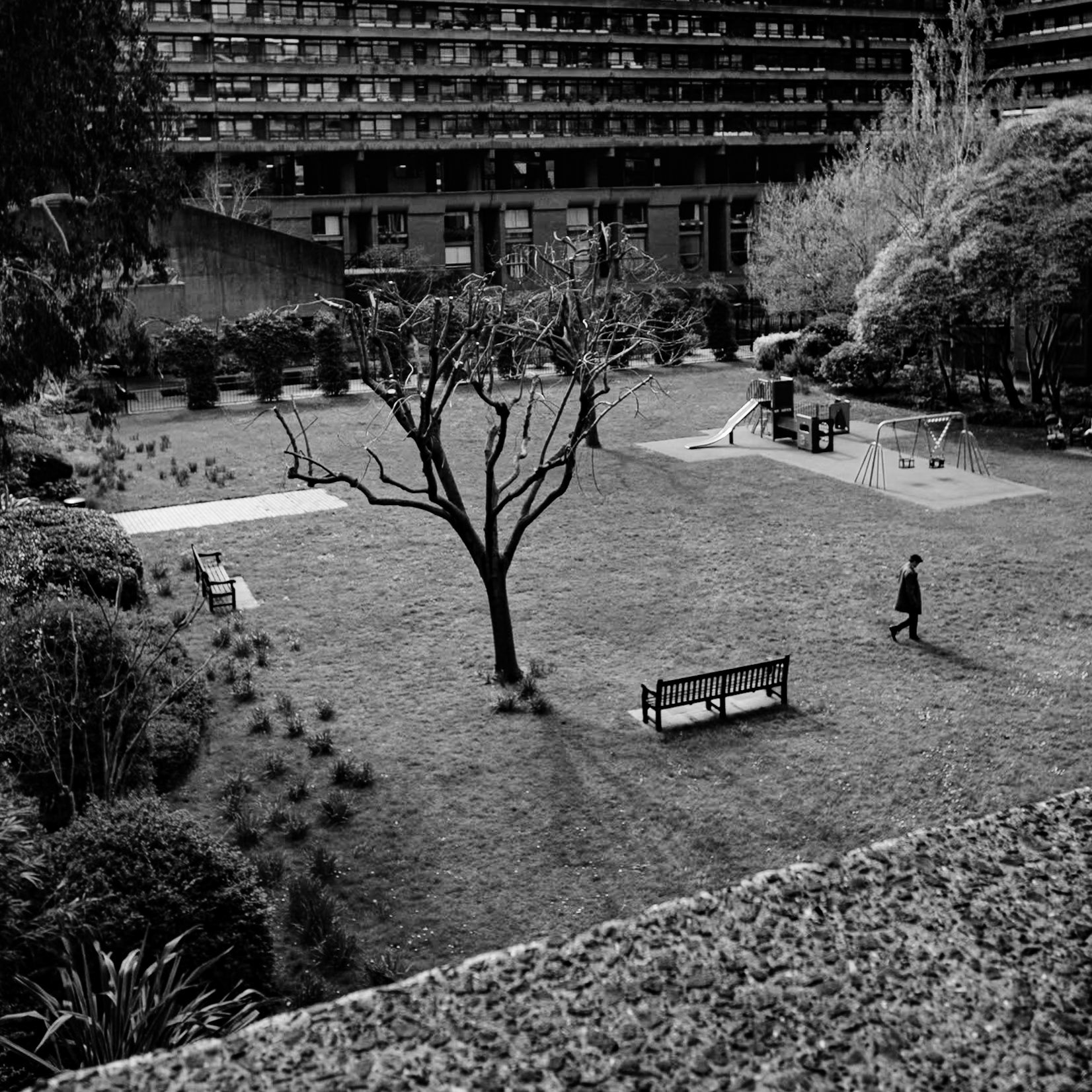 Oasis in a sea of concrete