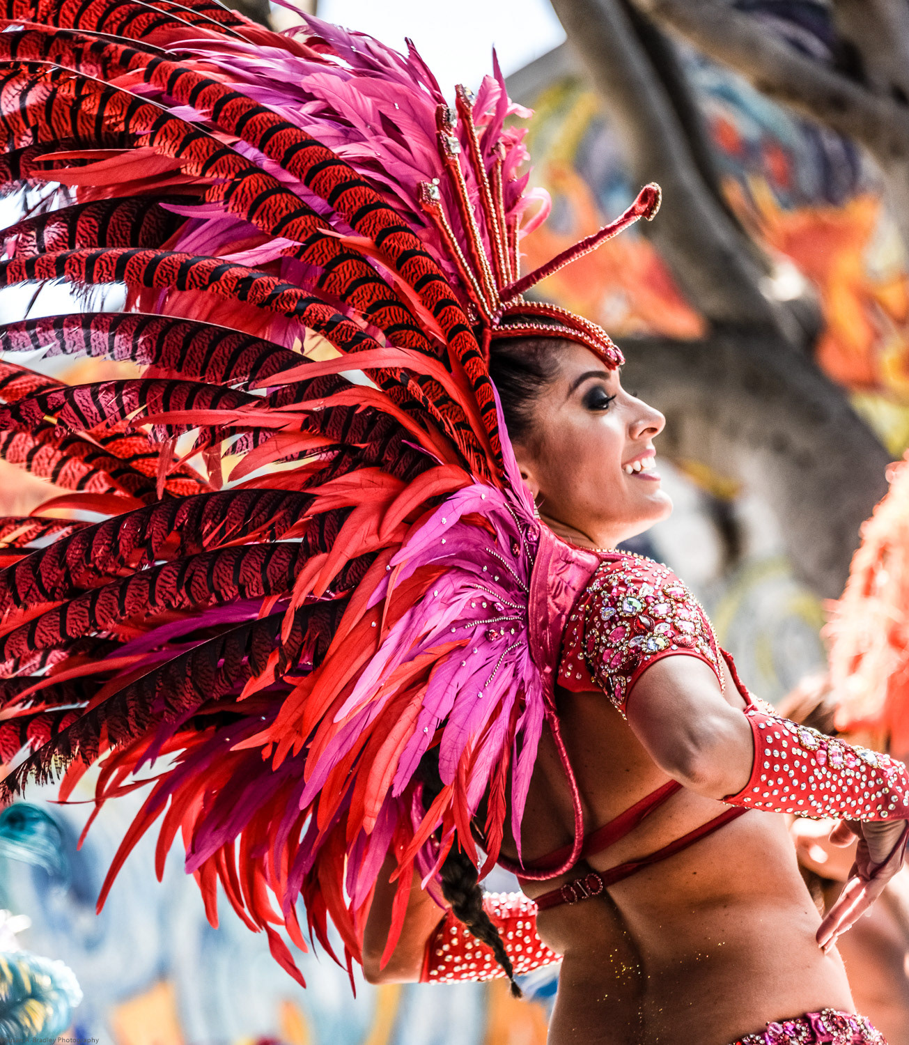 SF Carnaval