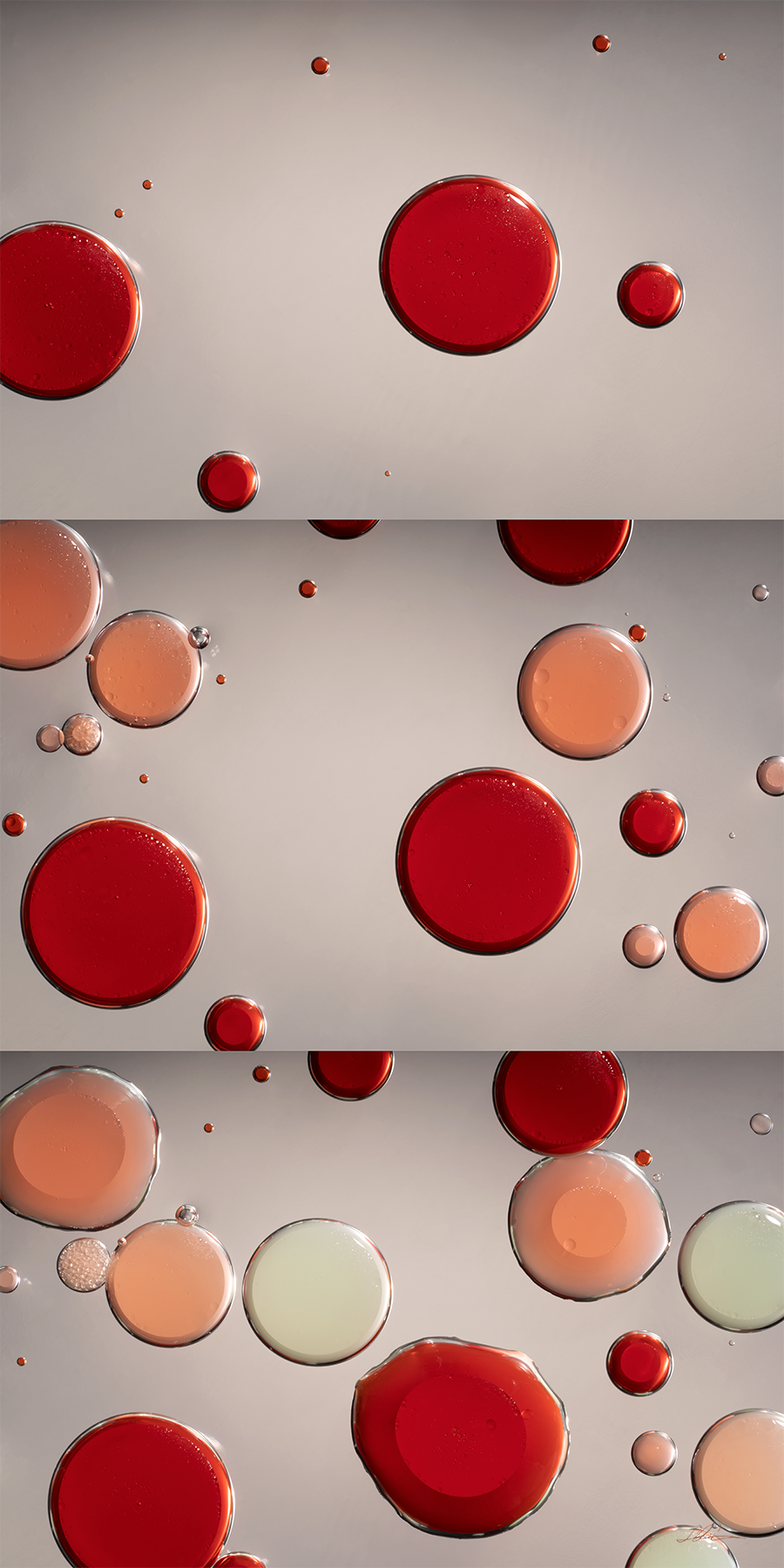 Under the Microscope 11 - 30" x 60"
