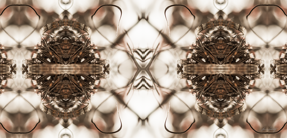 Nature and the Machine 1 - 30" x 60"