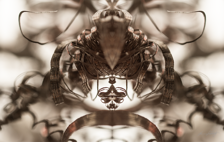 Nature and the Machine 2 - 20" x 30"