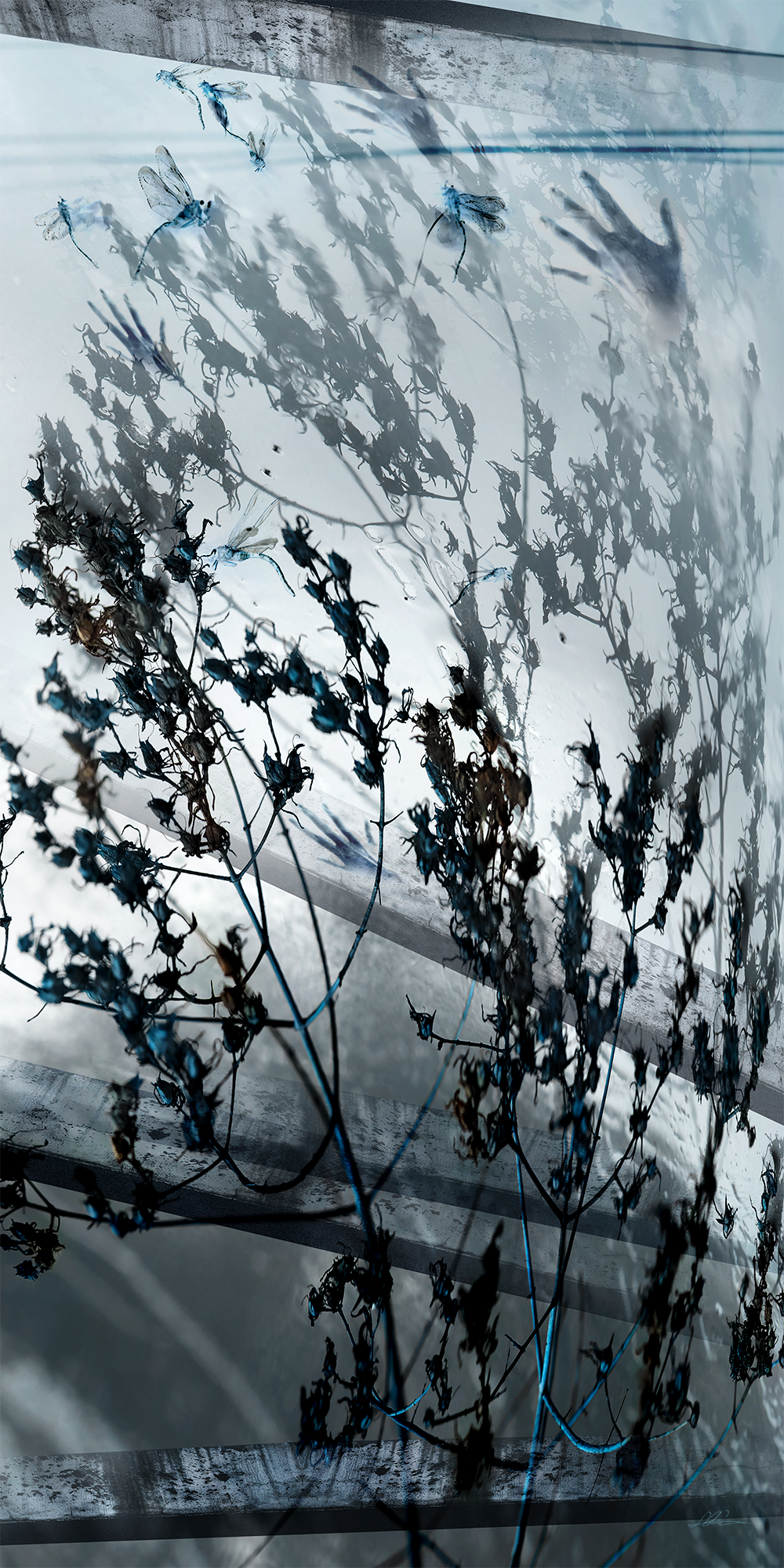 Wind 1 - 20" x 40"