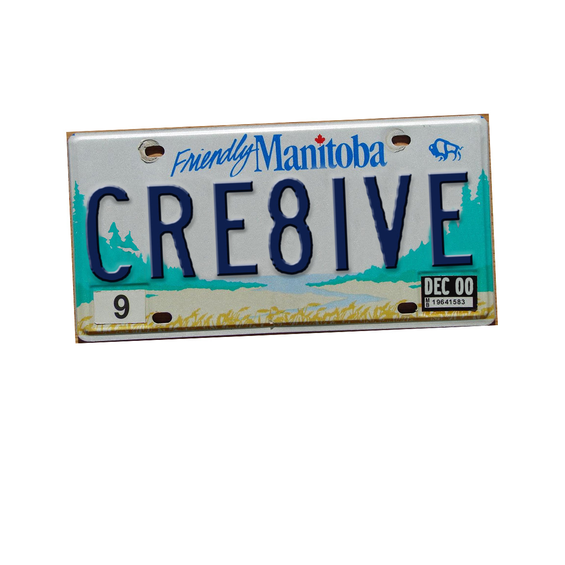 Looked great on my White Chevy I-ROB.