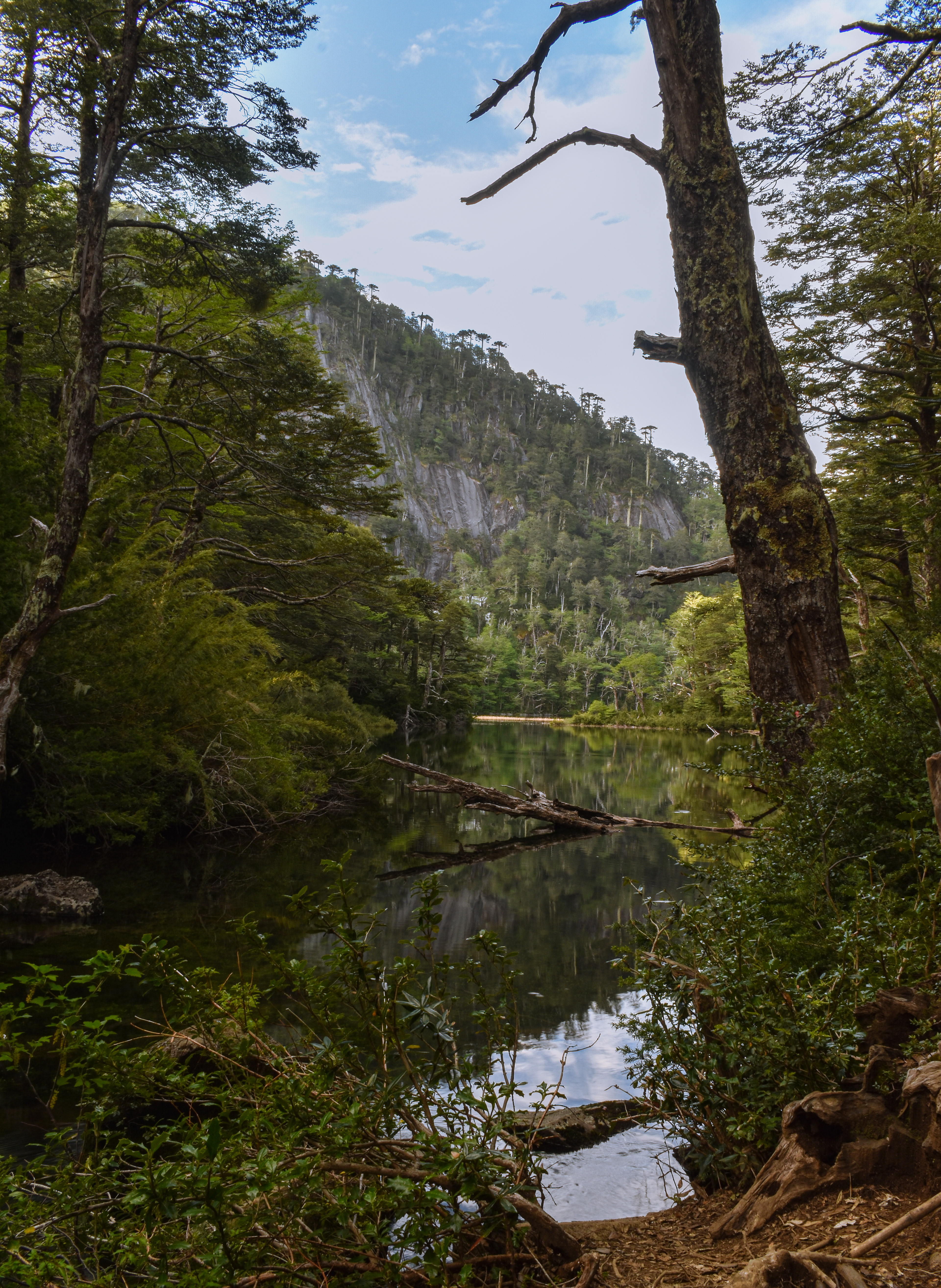 Lago Chico, PN Huerquehue