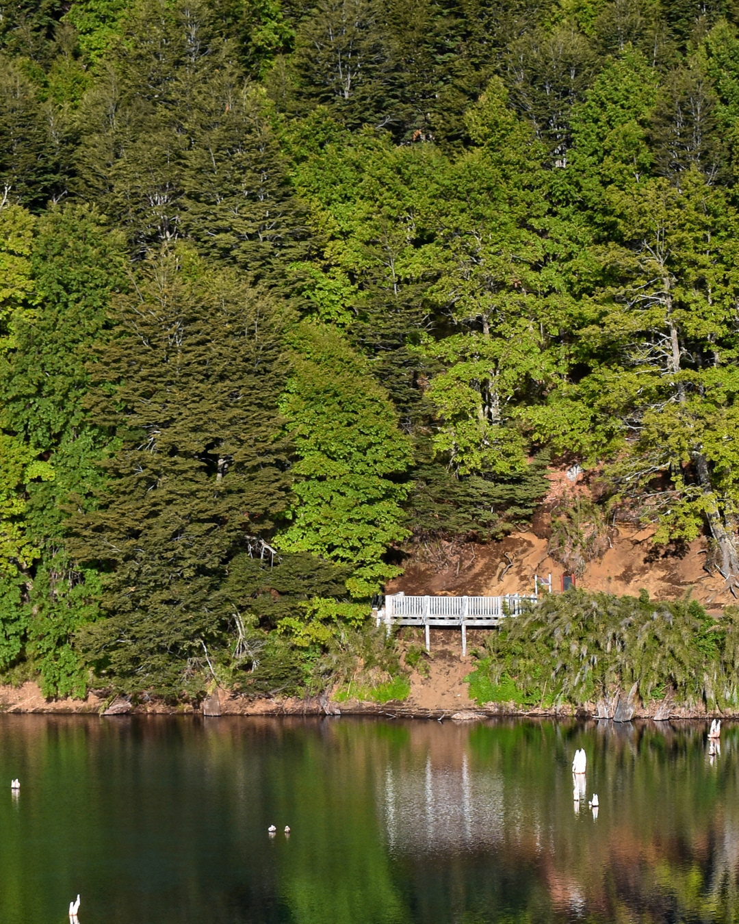 Laguna Arcoíris