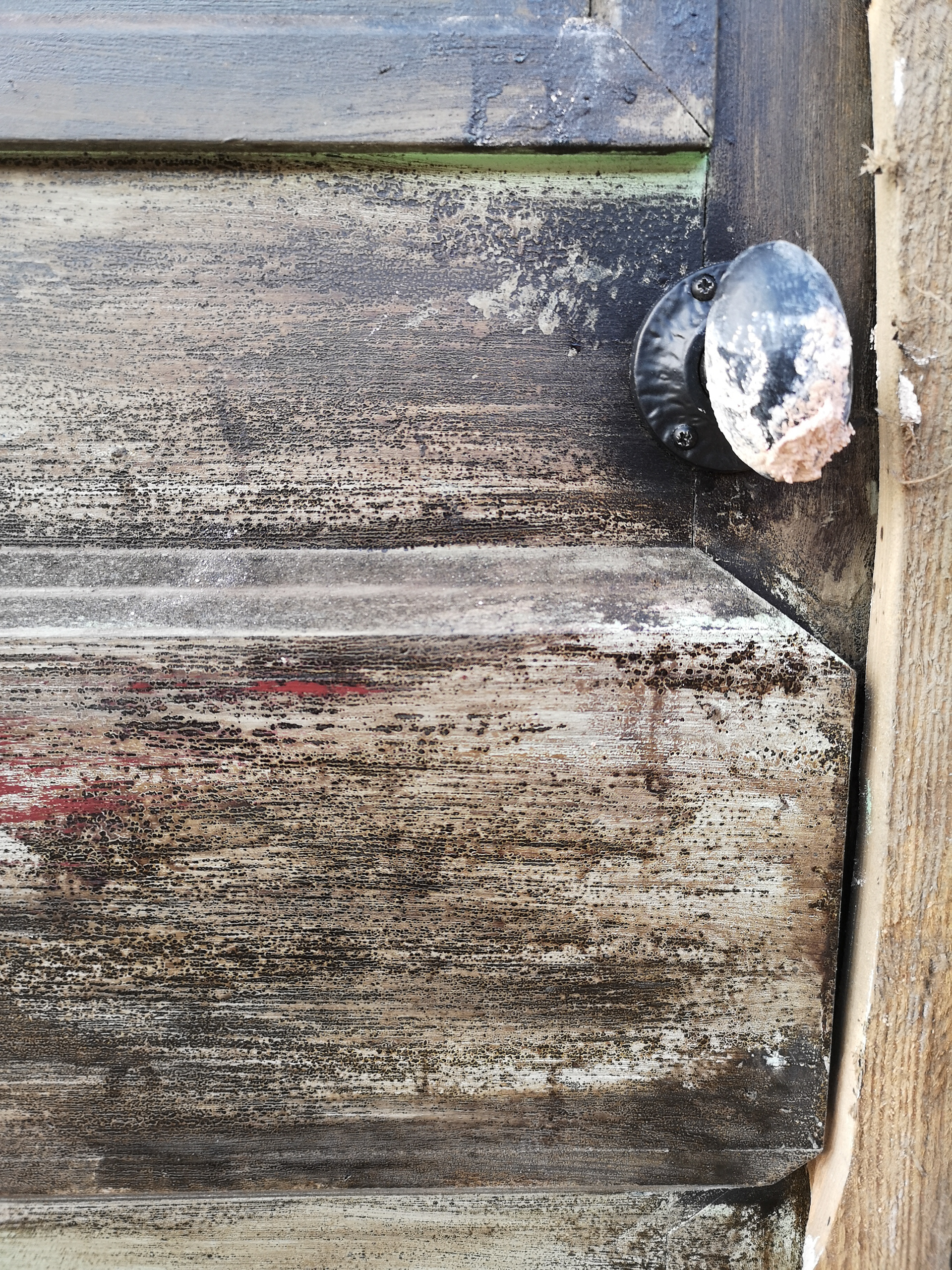 Perished External Paint
