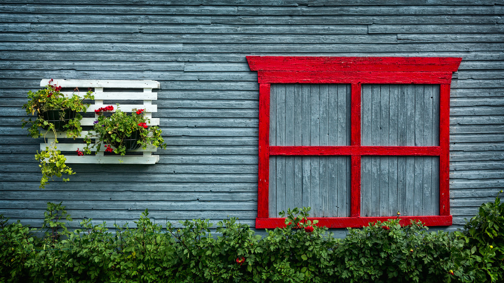 RED FRAME ON QUIET BLUE