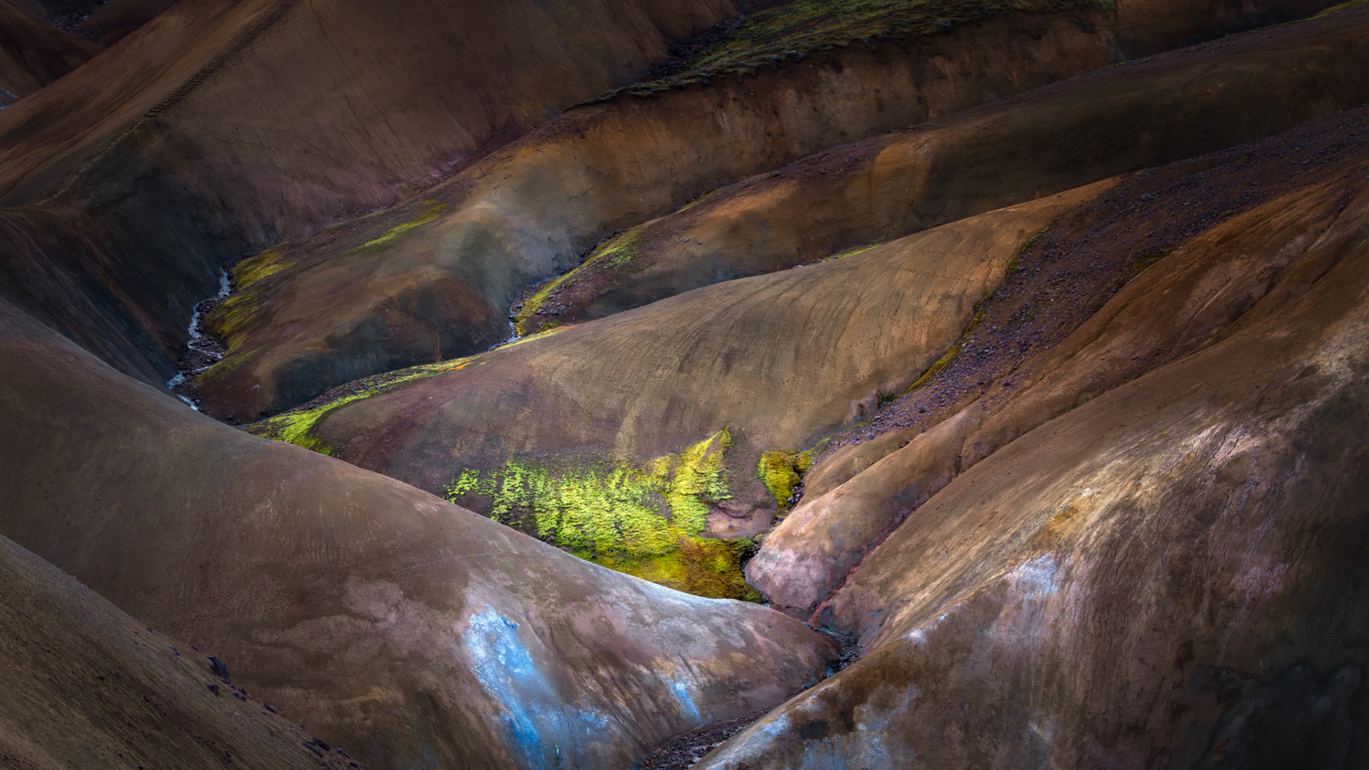 PRIMITIVE EARTH