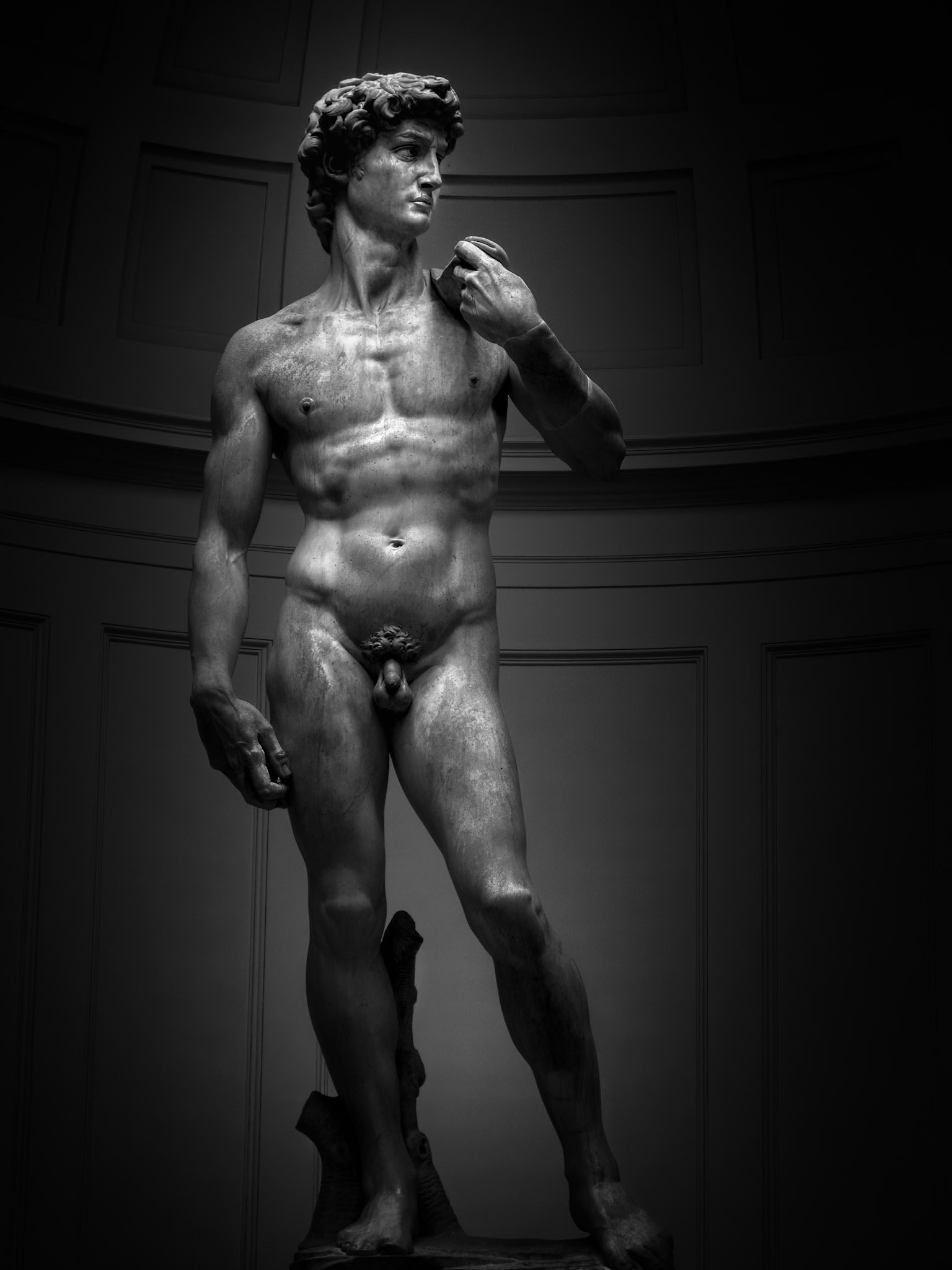 STATUE OF DAVID
