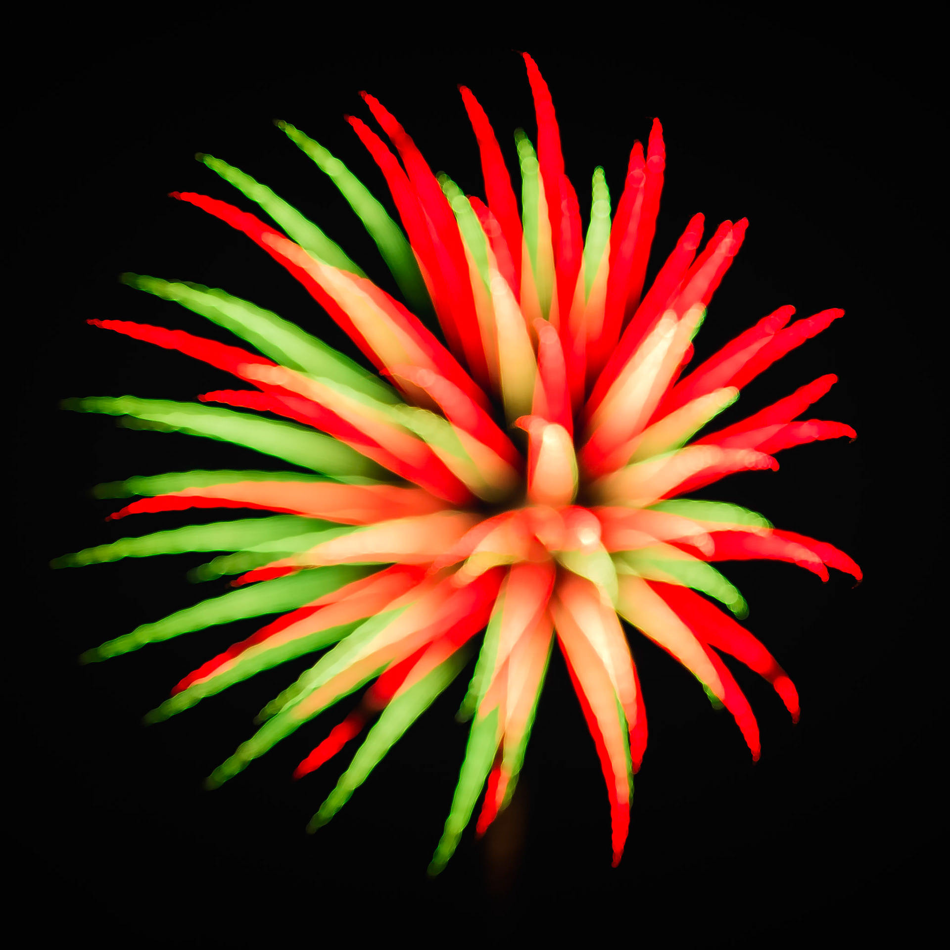 SHAPES OF CELEBRATION