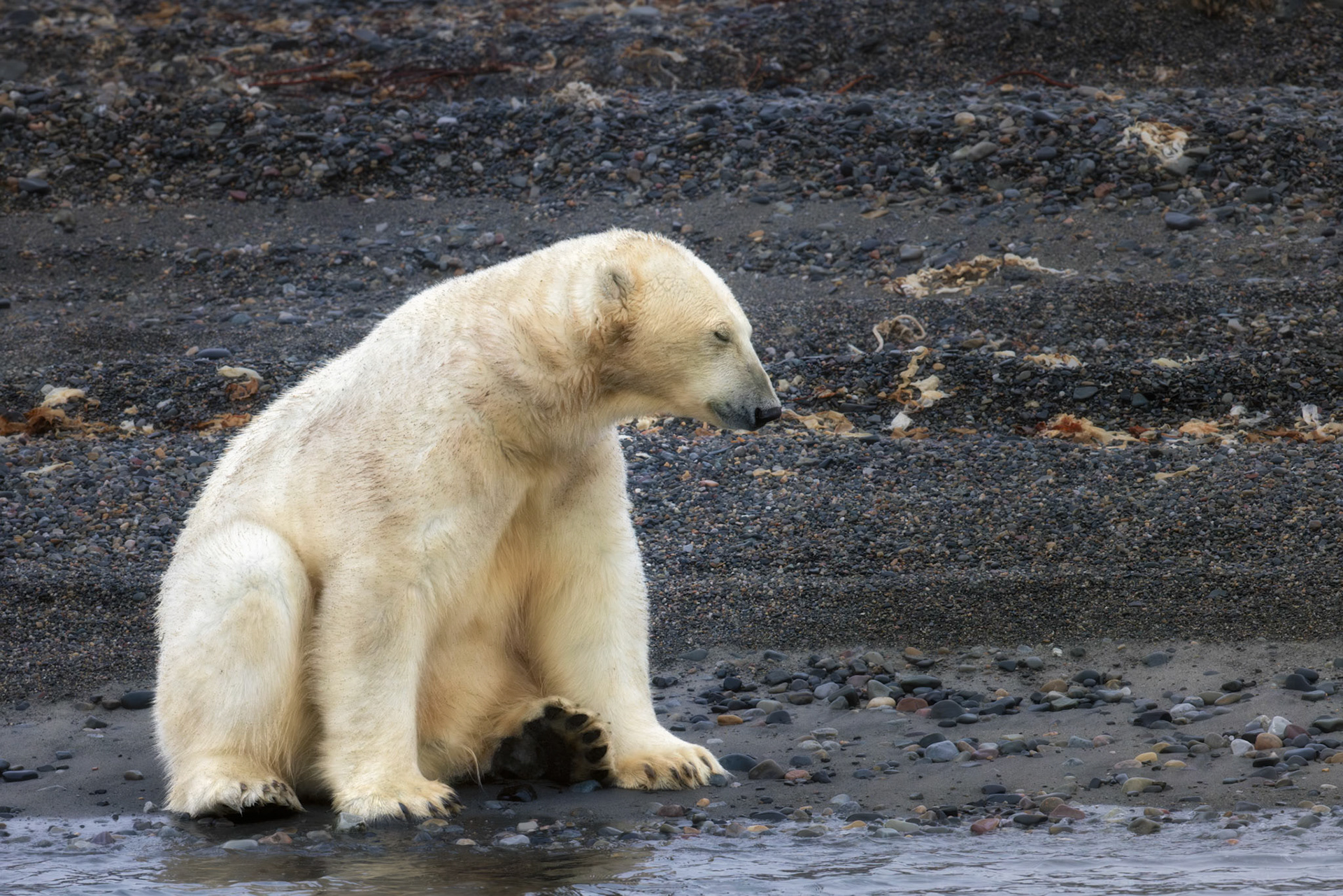 STILLNESS AT THE WATER'S EDGE