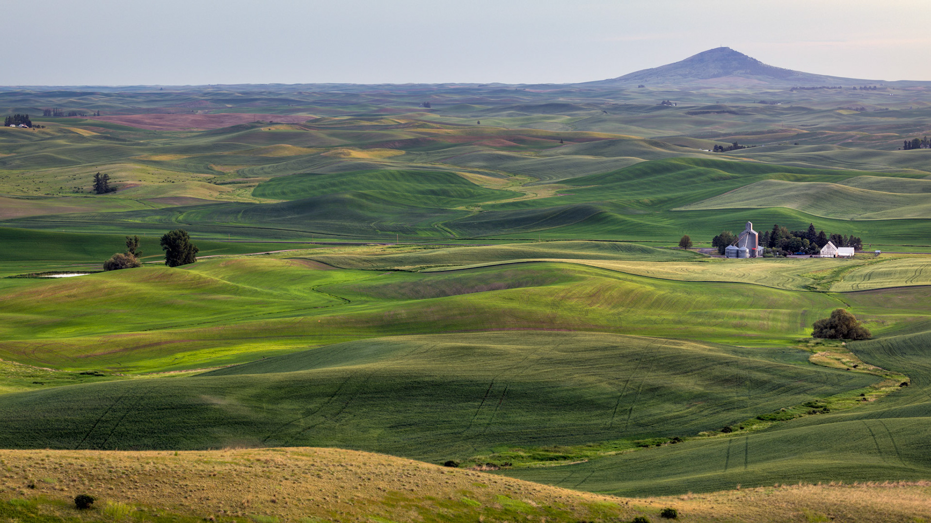 STEPTOE BUTTE