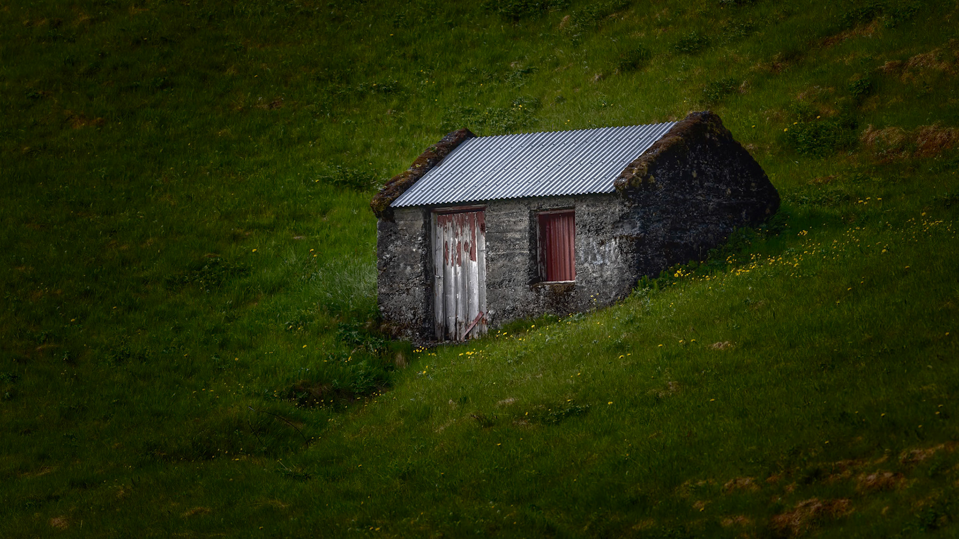 QUITE SHELTER