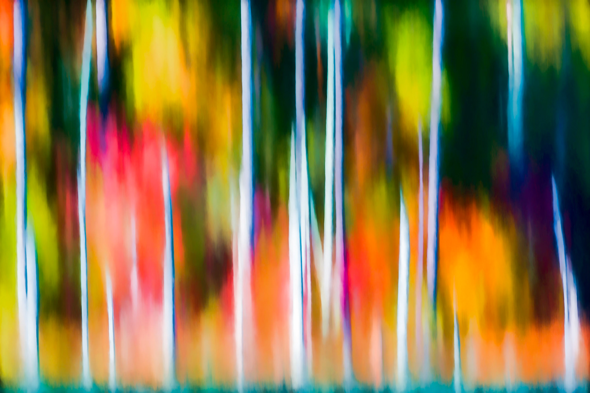 LIVING COLOR