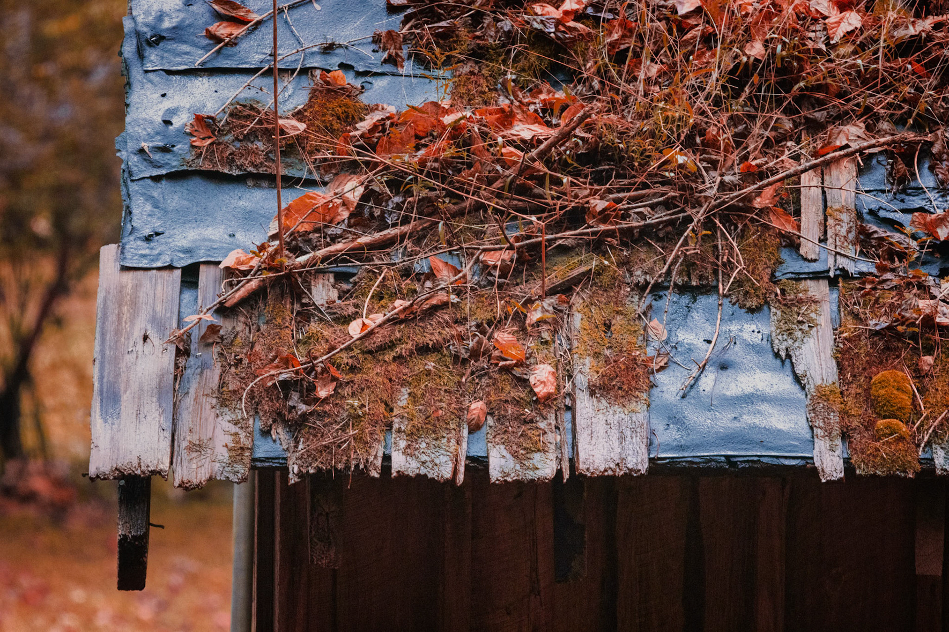 WEATHERED BY SEASONS