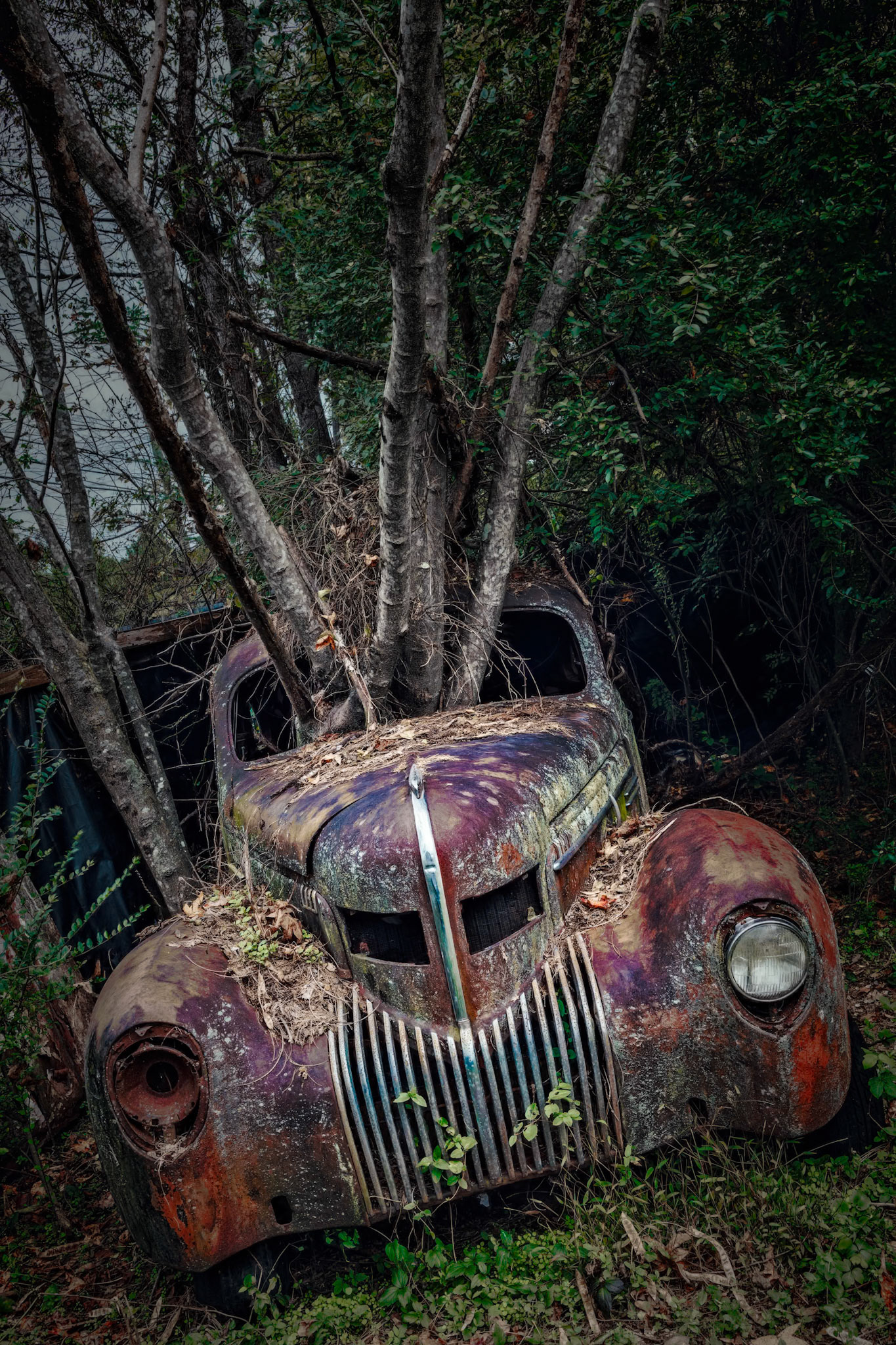 TWO  TON FLOWER POT | AS FEATURED ON CBS SUNDAY MORNING