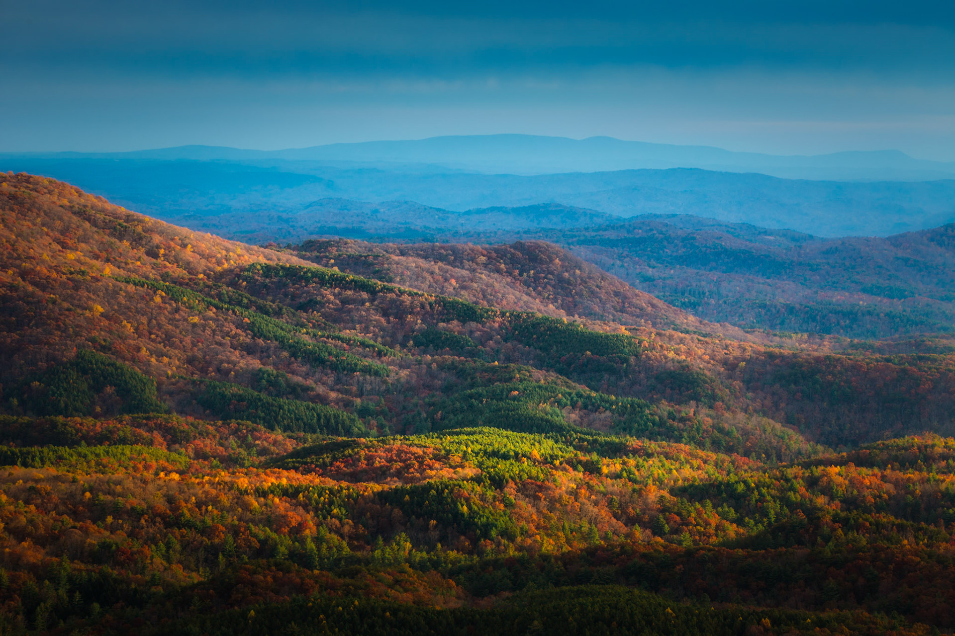 RIDGES OF BLUE RIDGE