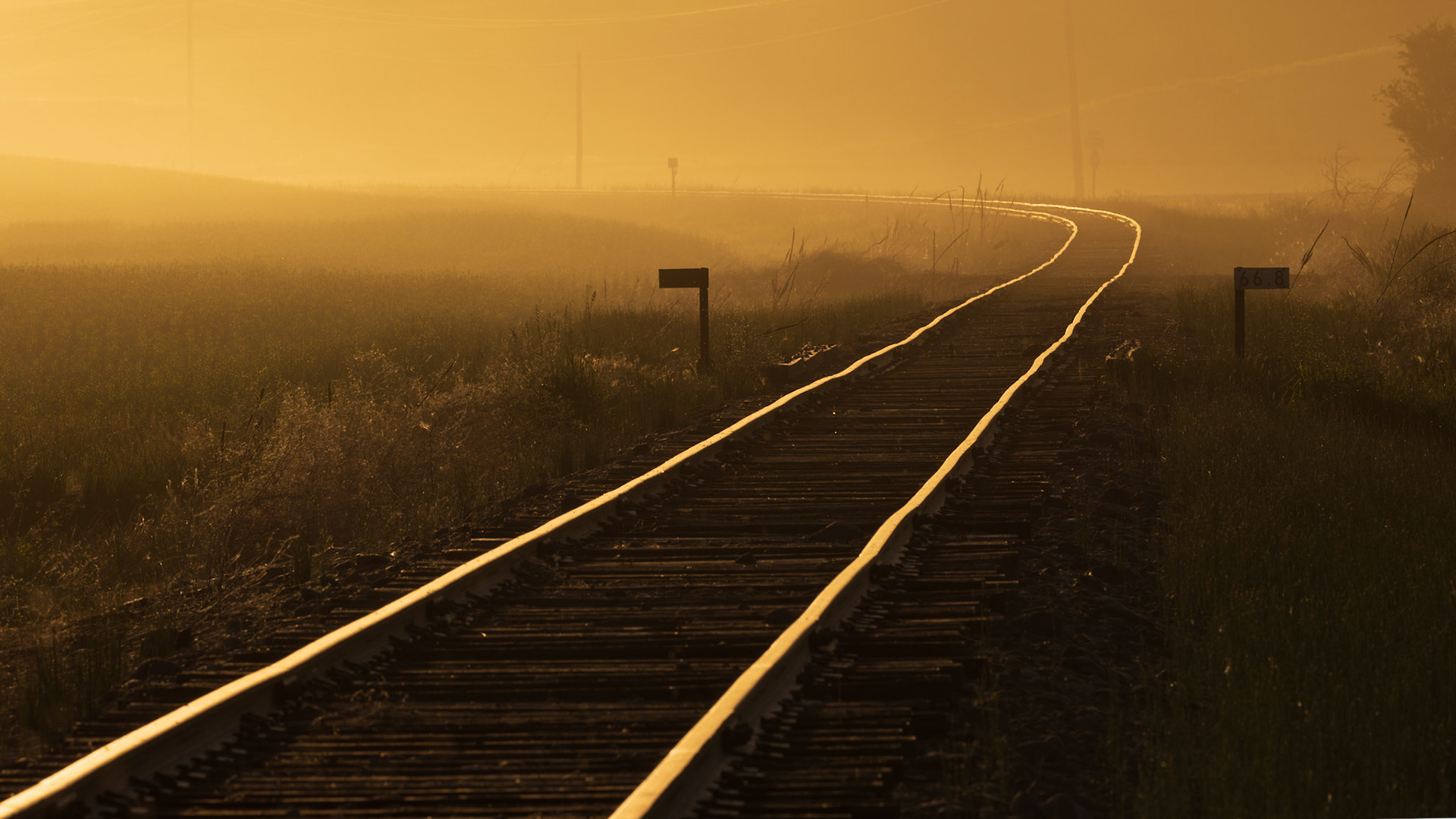 GOLDEN CURVE