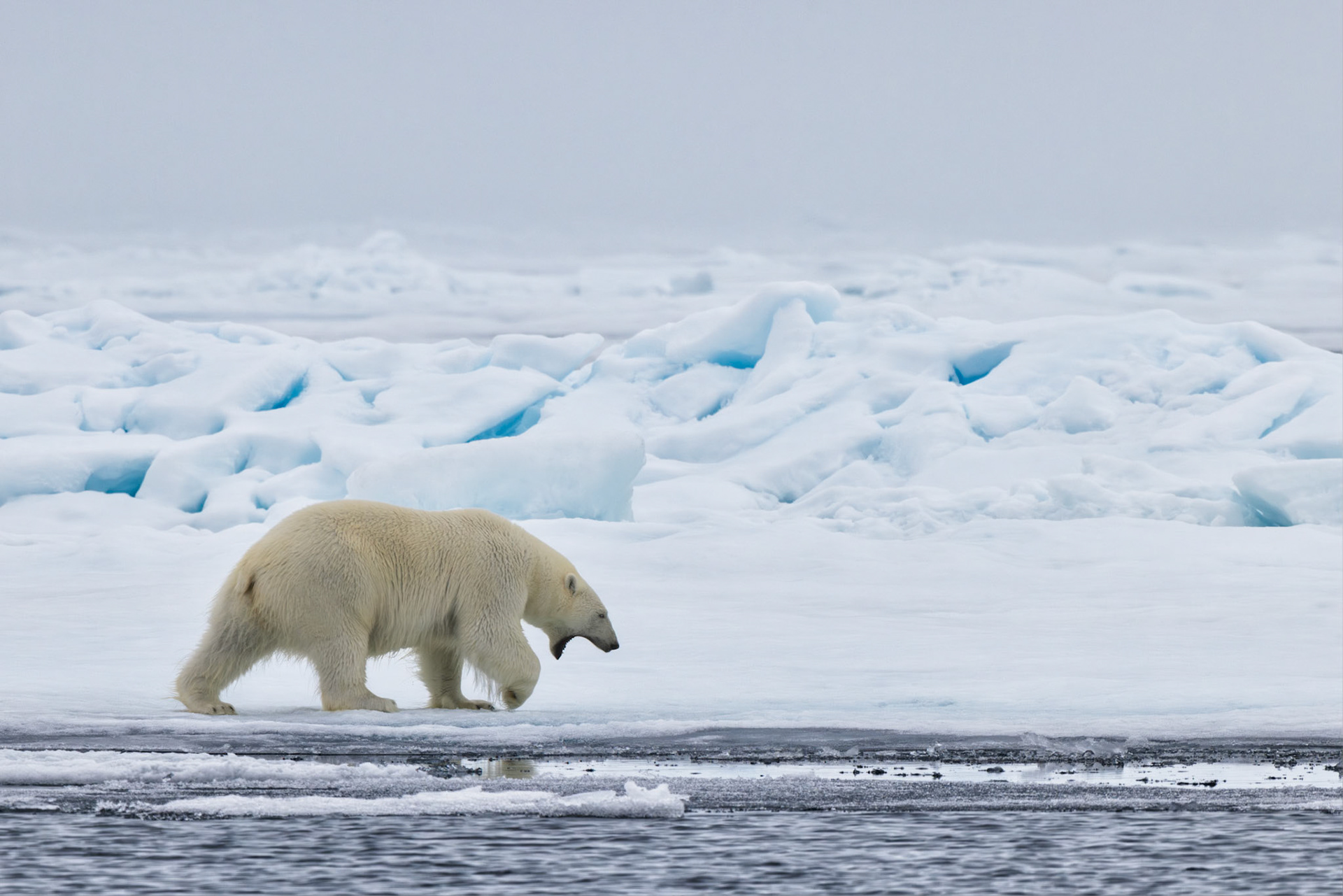 EMPRESS OF THE ARCTIC 3