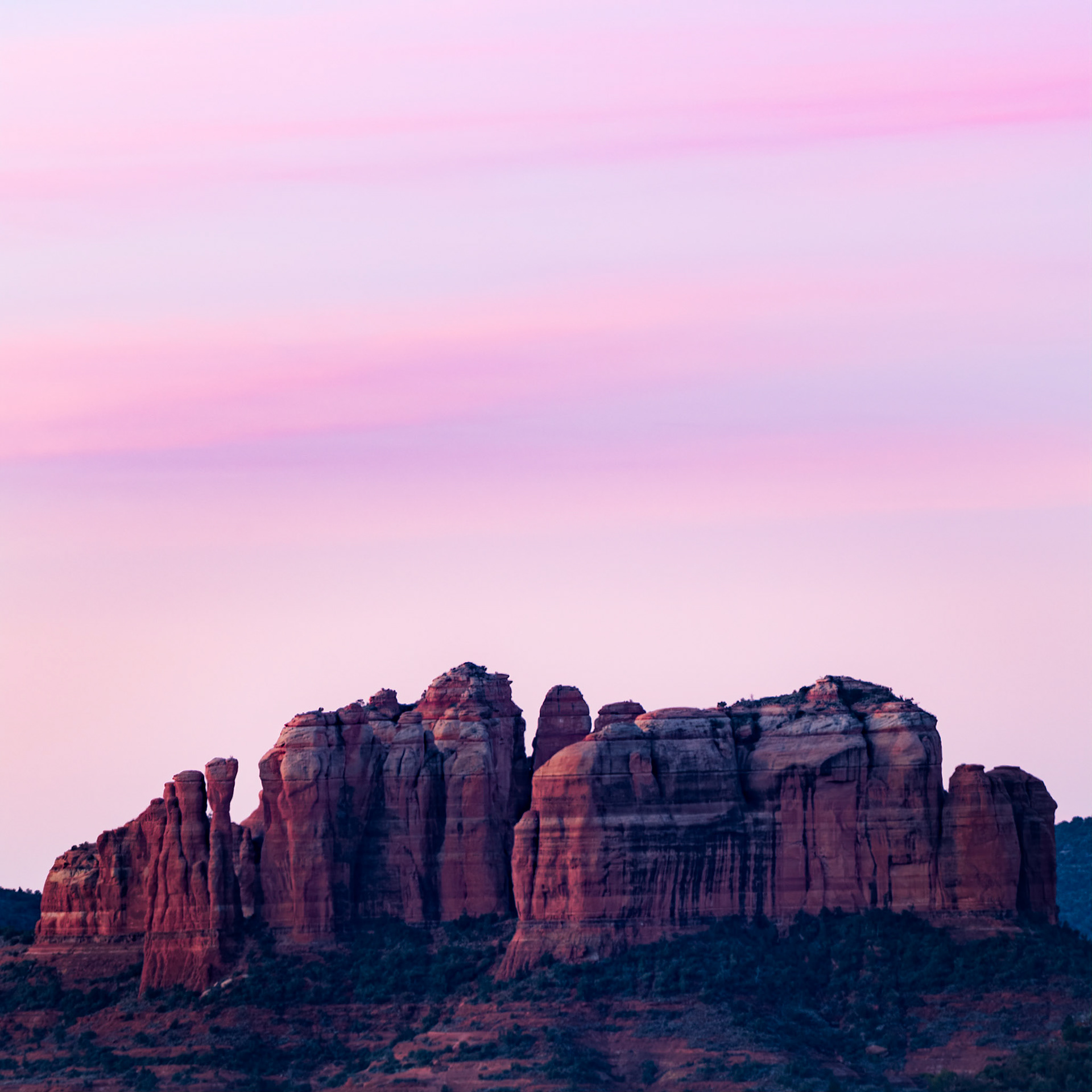 ROSE HORIZON