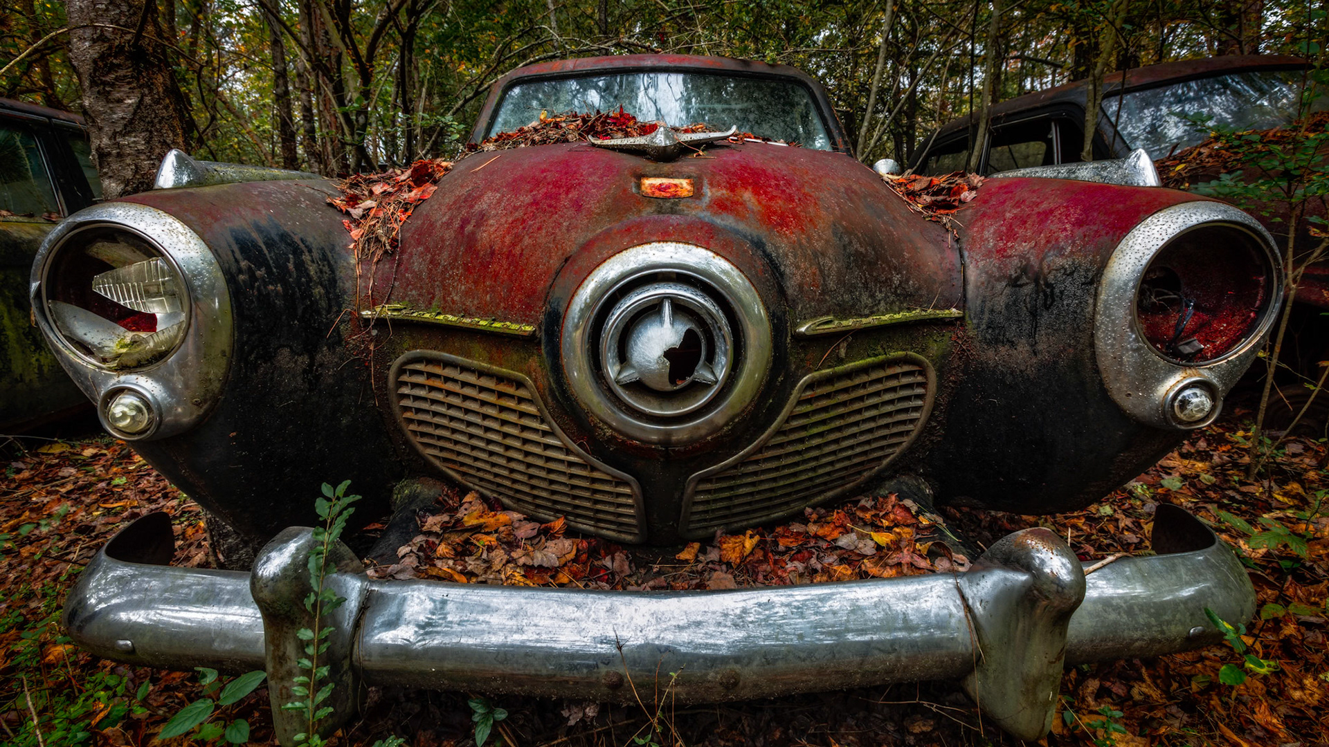THE FACE OF WHAT REMAINS  |  With its dramatic bullet nose and unmistakable styling, this abandoned Studebaker still commands attention decades after rolling off the assembly line. Leaves gather where chrome once gleamed, and rust softens the sharp lines that once symbolized innovation and optimism. Even in decline, the design remains bold, distinctive, and impossible to ignore.Studebaker was a company known for taking risks and building cars that looked unlike anything else on the road. Today, surrounded by the forest at Old Car City, this forgotten survivor stands as a reminder that great design can outlive its era. Weathered, wounded, and partially reclaimed by nature, it remains every bit as captivating as the day it first turned heads.