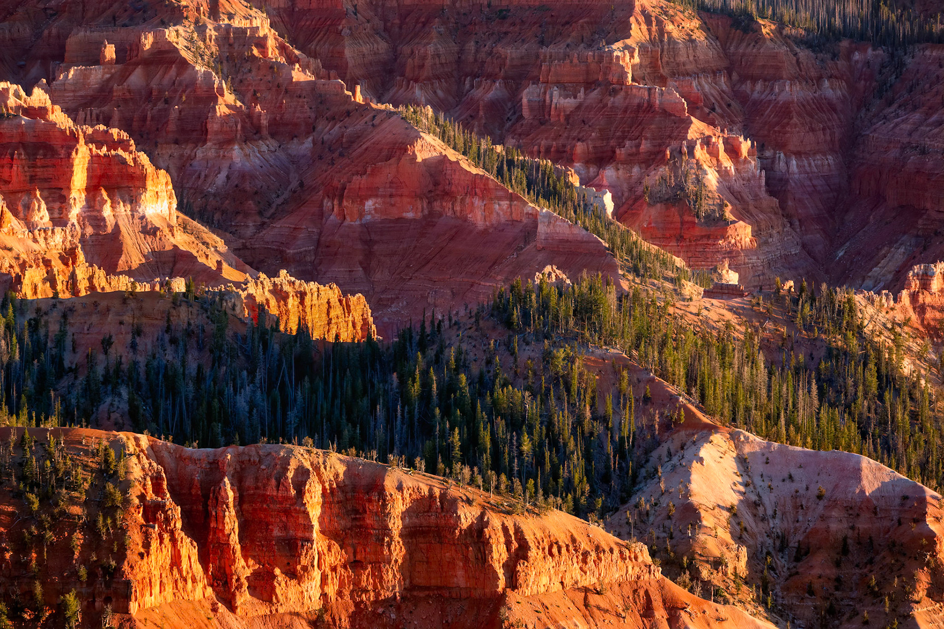RIDGES OF EMBERLIGHT  |  Layers of stone, light, and shadow converge to reveal a landscape shaped by forces far beyond human scale. Bands of crimson, rust, and pale sandstone tell a geological story written over millions of years, each layer preserving a chapter of an ancient past.What draws the eye is the diagonal ridge of evergreens cutting across the composition. The trees appear almost delicate against the towering cliffs, yet they represent life persisting in an environment sculpted by wind, water, and time. Their dark green forms provide a striking counterpoint to the warm rock formations that surround them.