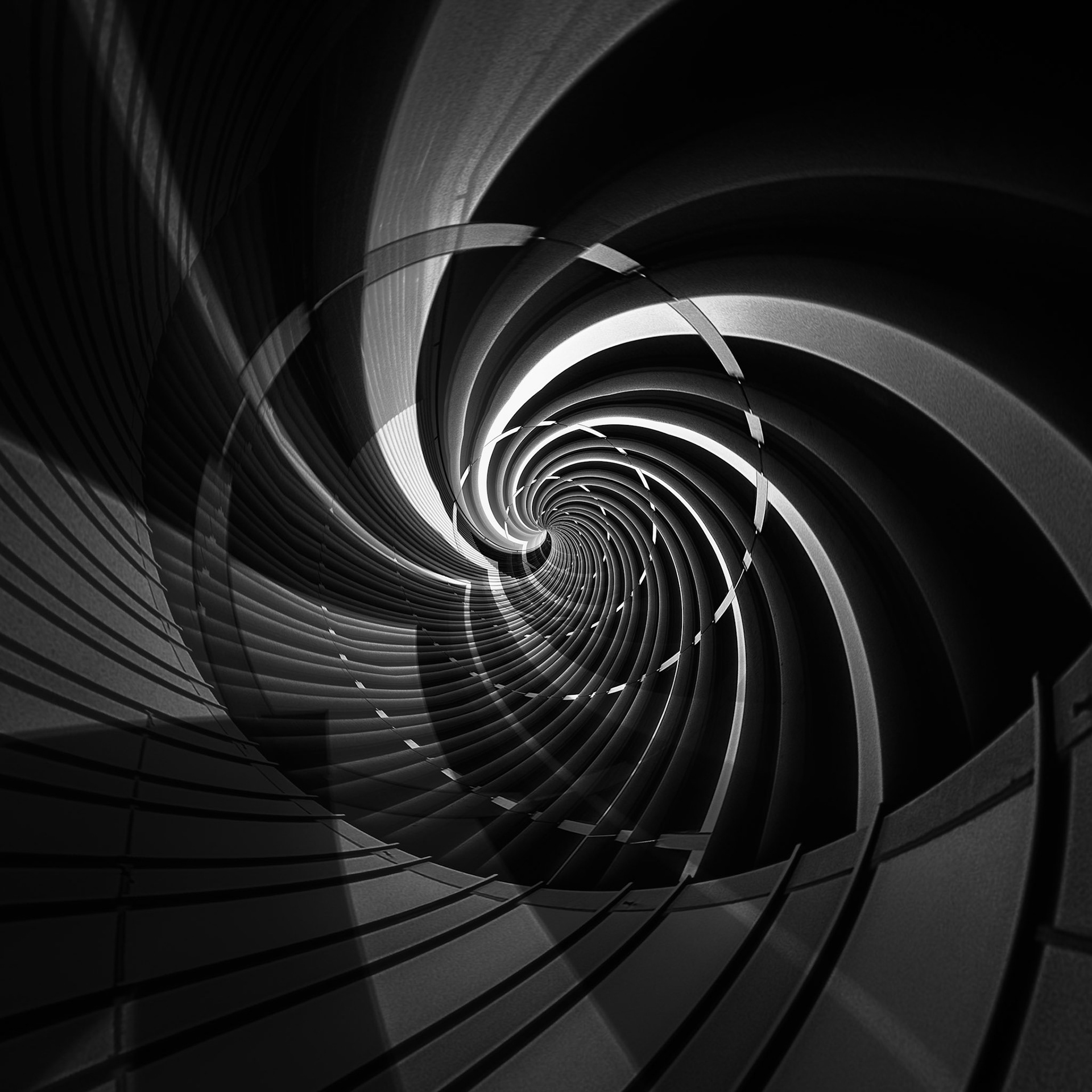 INTO THE VOID