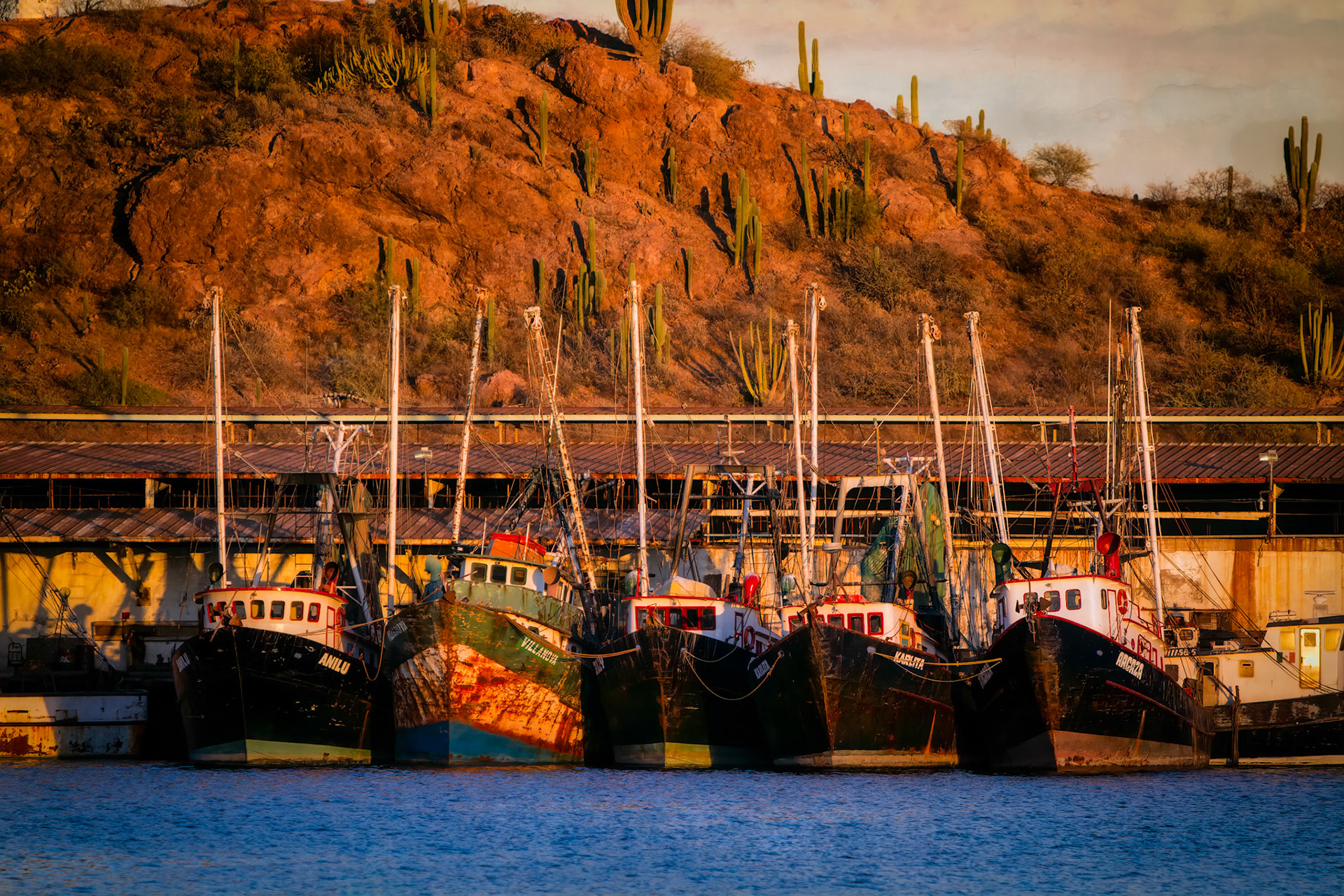 HARBOR BELOW THE DESERT  |  I made this photograph in a small fishing harbor along Mexico's Pacific coast, far from the resort towns most travelers know. As the sun dropped lower in the sky, the weathered boats took on a warm glow, their scars and faded paint telling stories of years spent working these waters.What struck me was the contrast. Behind the harbor, the rugged desert hillside rises from the sea, dotted with cacti that seem more at home in a western landscape than along a coastline. It was a reminder of how varied and unexpected this part of Mexico can be.While the boats rested for the evening, there was a quiet sense that the day's work was done and tomorrow's was already waiting. Moments like this are why I travel, not to find the famous view, but to discover places that reveal the character of a region and the people who make their lives there.