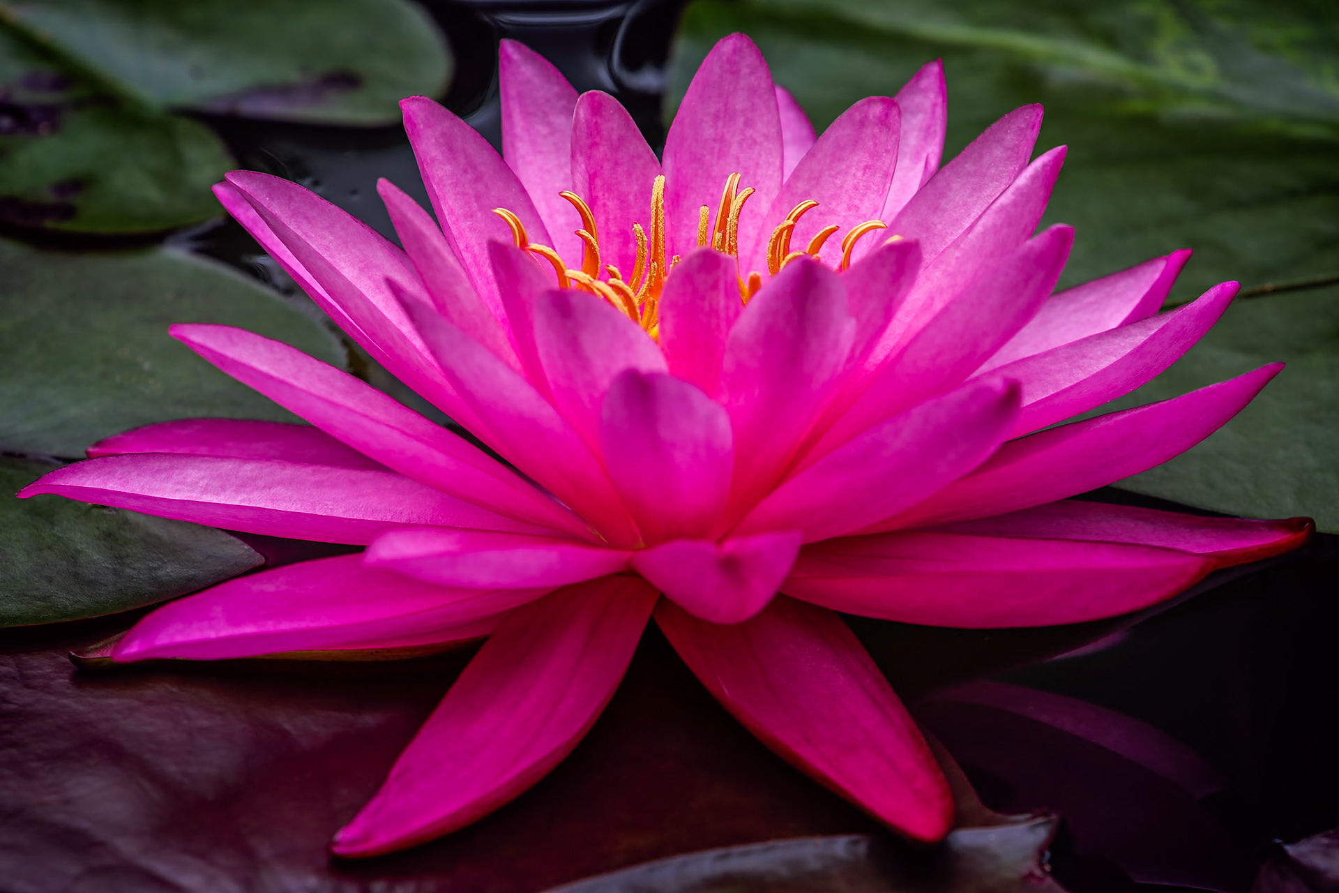 CENTERED