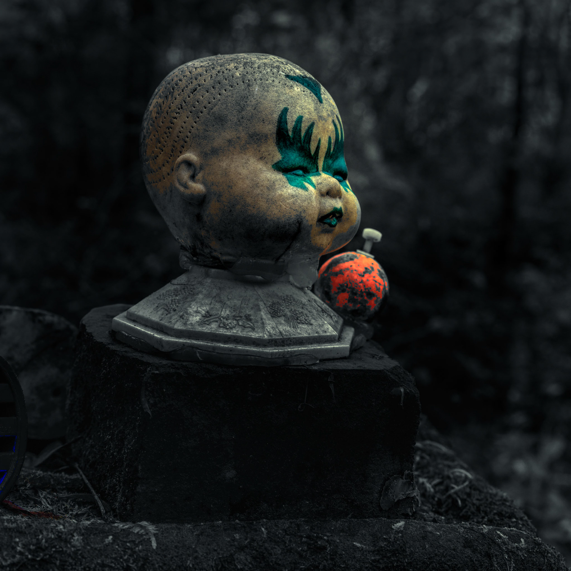 THE WATCHER IN THE WOODS