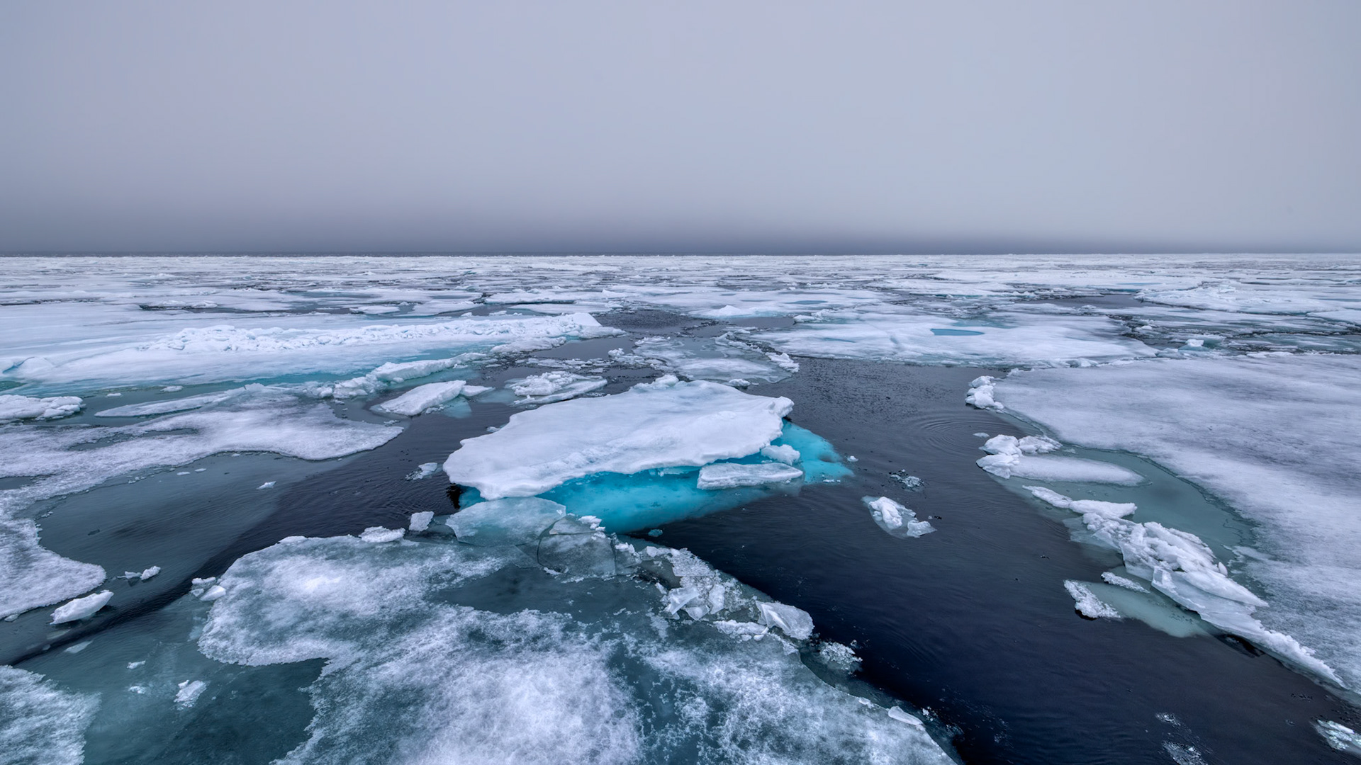 LEAVING THE POLAR ICE CAP