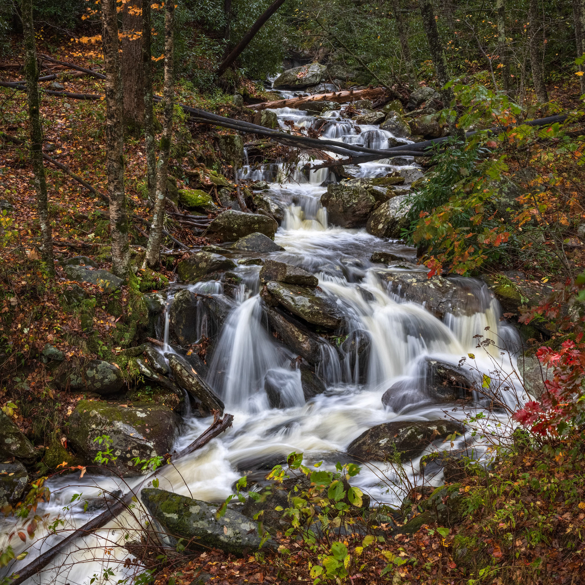 CASCADING FURY