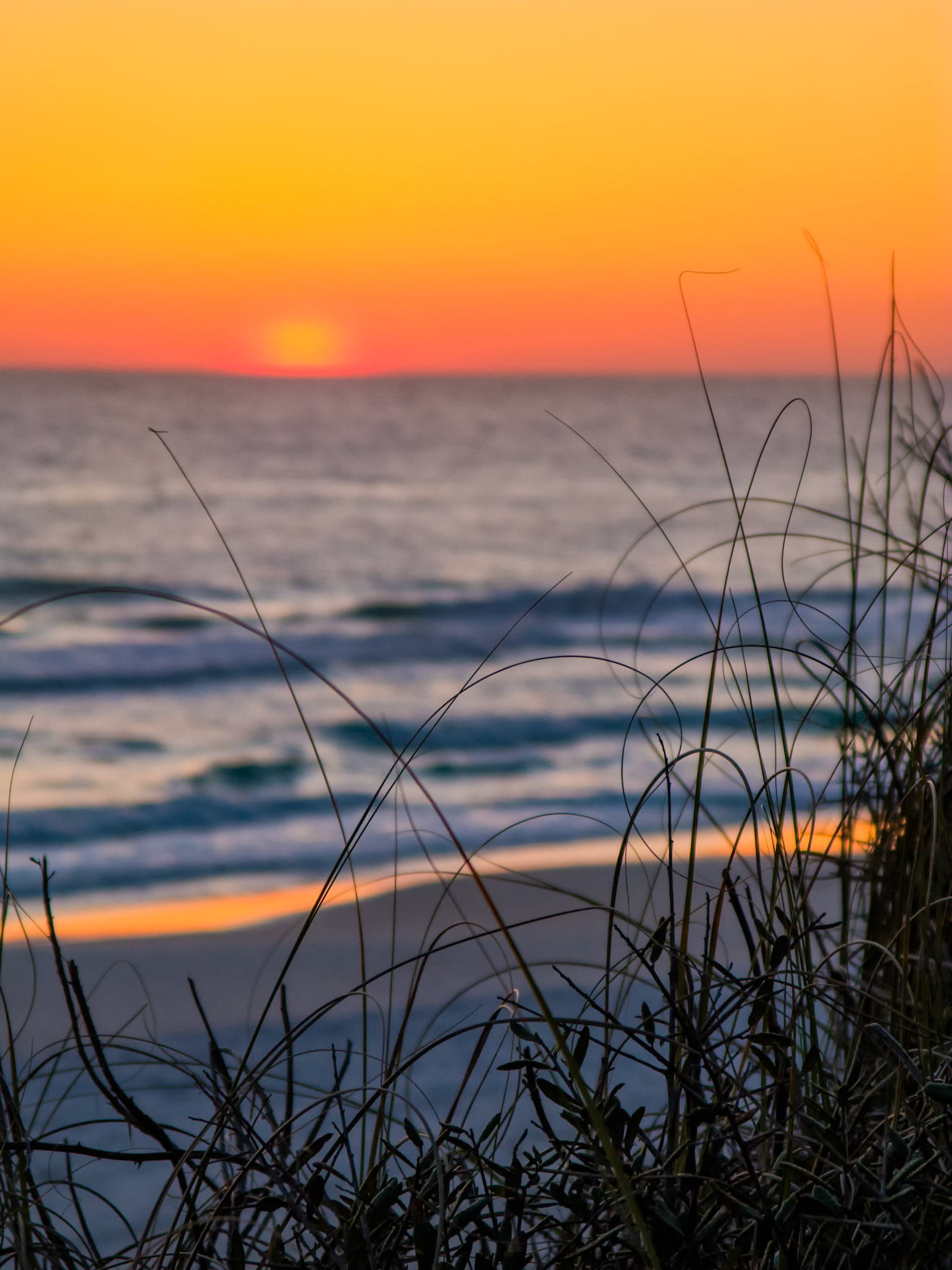 DAYBREAK THROUGH THE DUNES