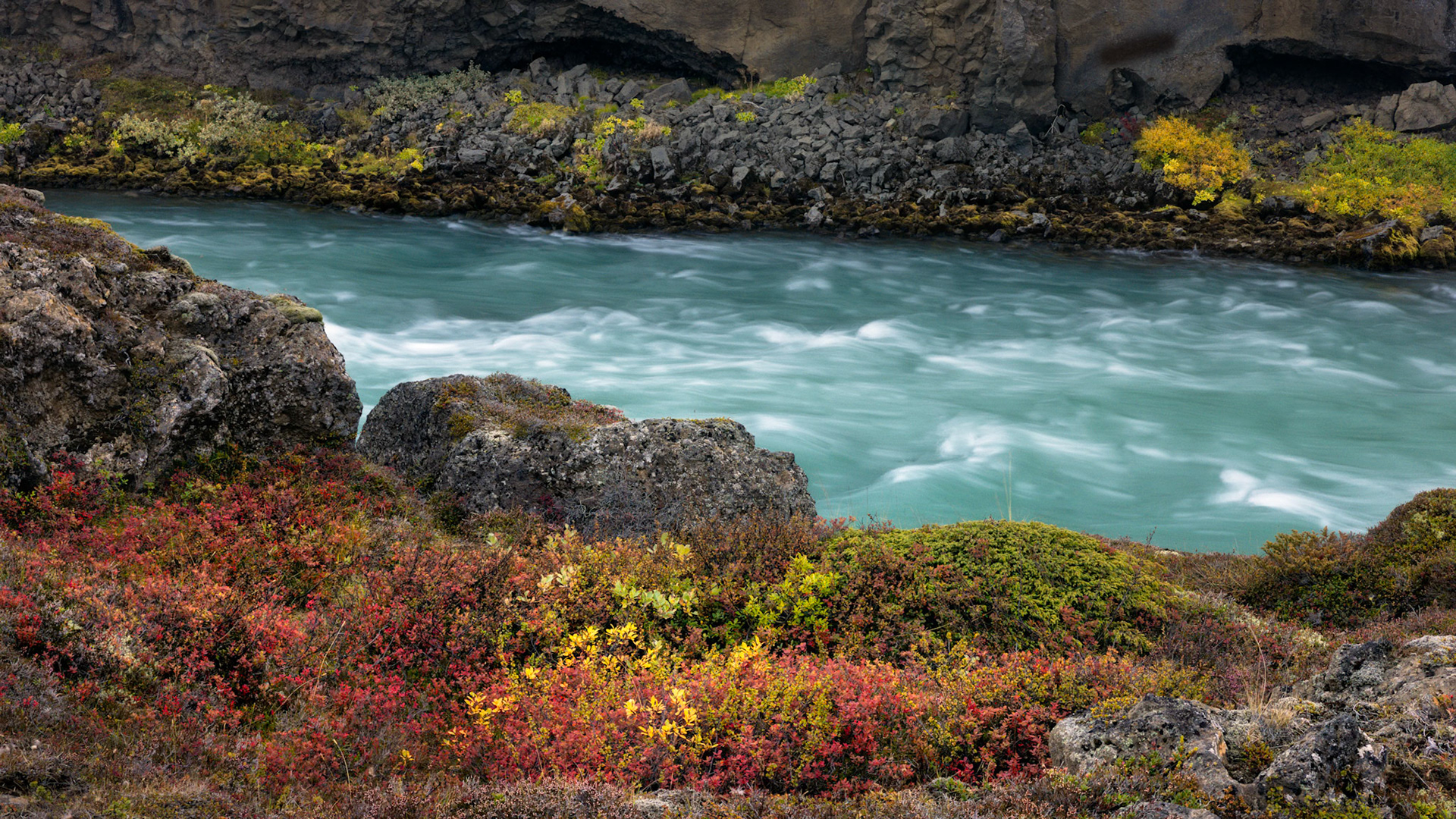 WHERE COLOR MEETS WATER