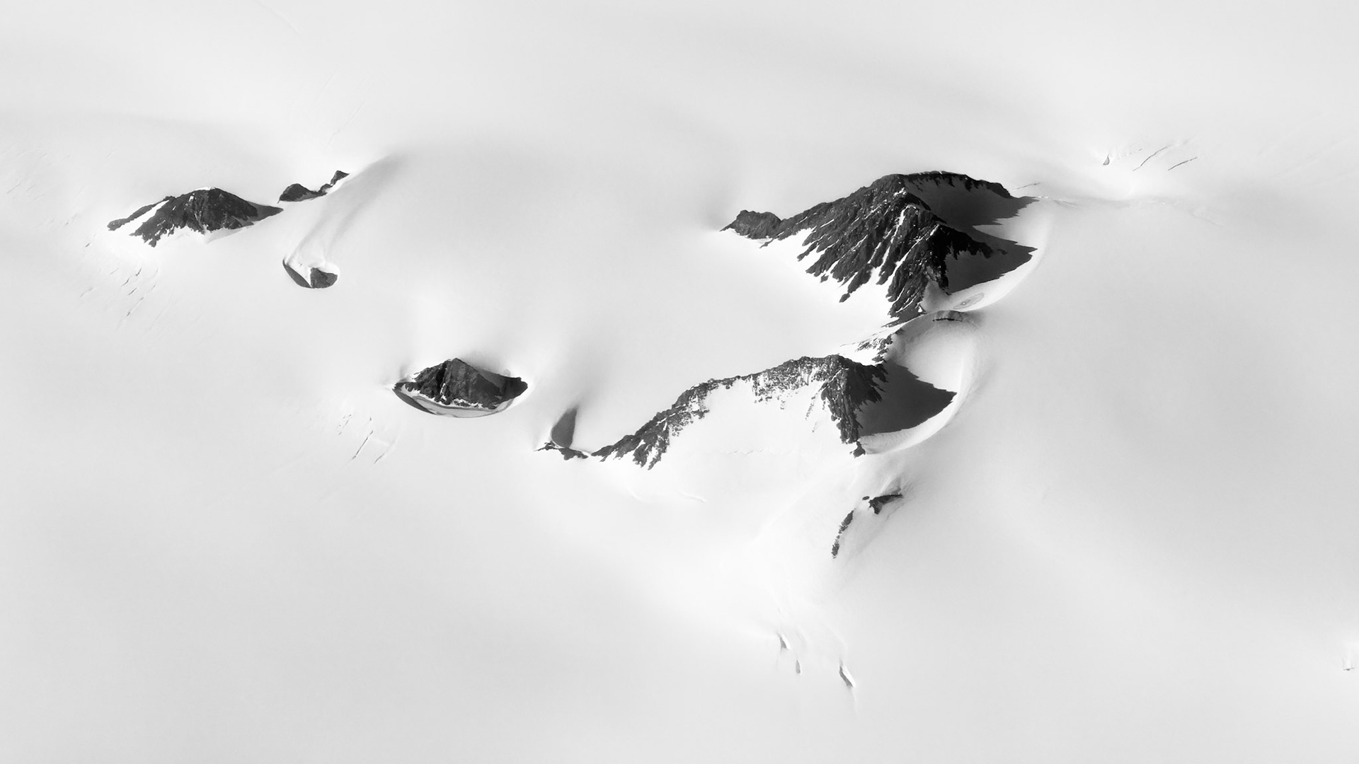 VEINS OF THE GLACIER