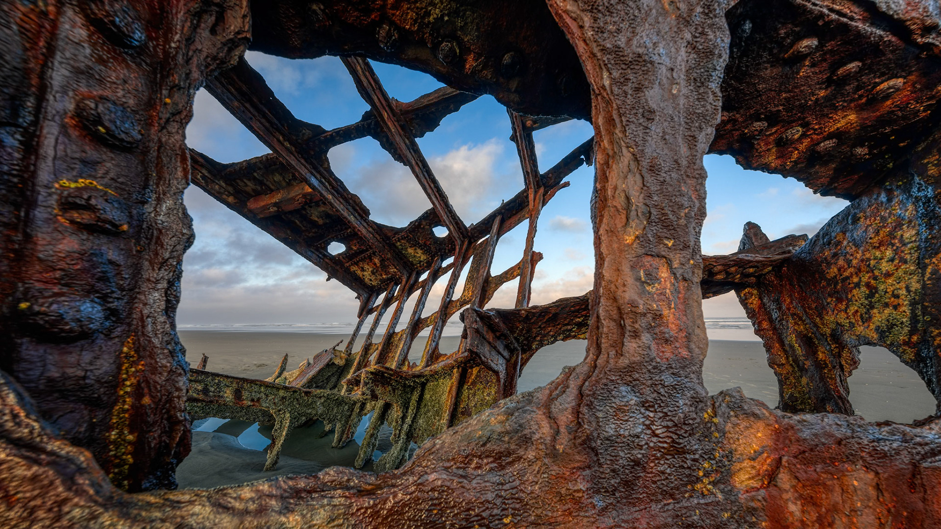 CATHEDRAL OF RUST  |  More than a century after running aground on the Oregon coast, the remains of the Peter Iredale continue their slow surrender to wind, salt, and time. What was once a proud steel sailing vessel has become a haunting sculpture, shaped not by human hands but by the relentless forces of the Pacific.Seen from within the rusted framework, the ship's skeletal ribs reach toward the sky like the remnants of a forgotten cathedral. Layers of rust, texture, and decay tell a story of endurance, reminding us that even the strongest creations are temporary.Today, the wreck stands not as a symbol of loss, but as a testament to resilience, where history, nature, and artistry converge along the edge of the sea.