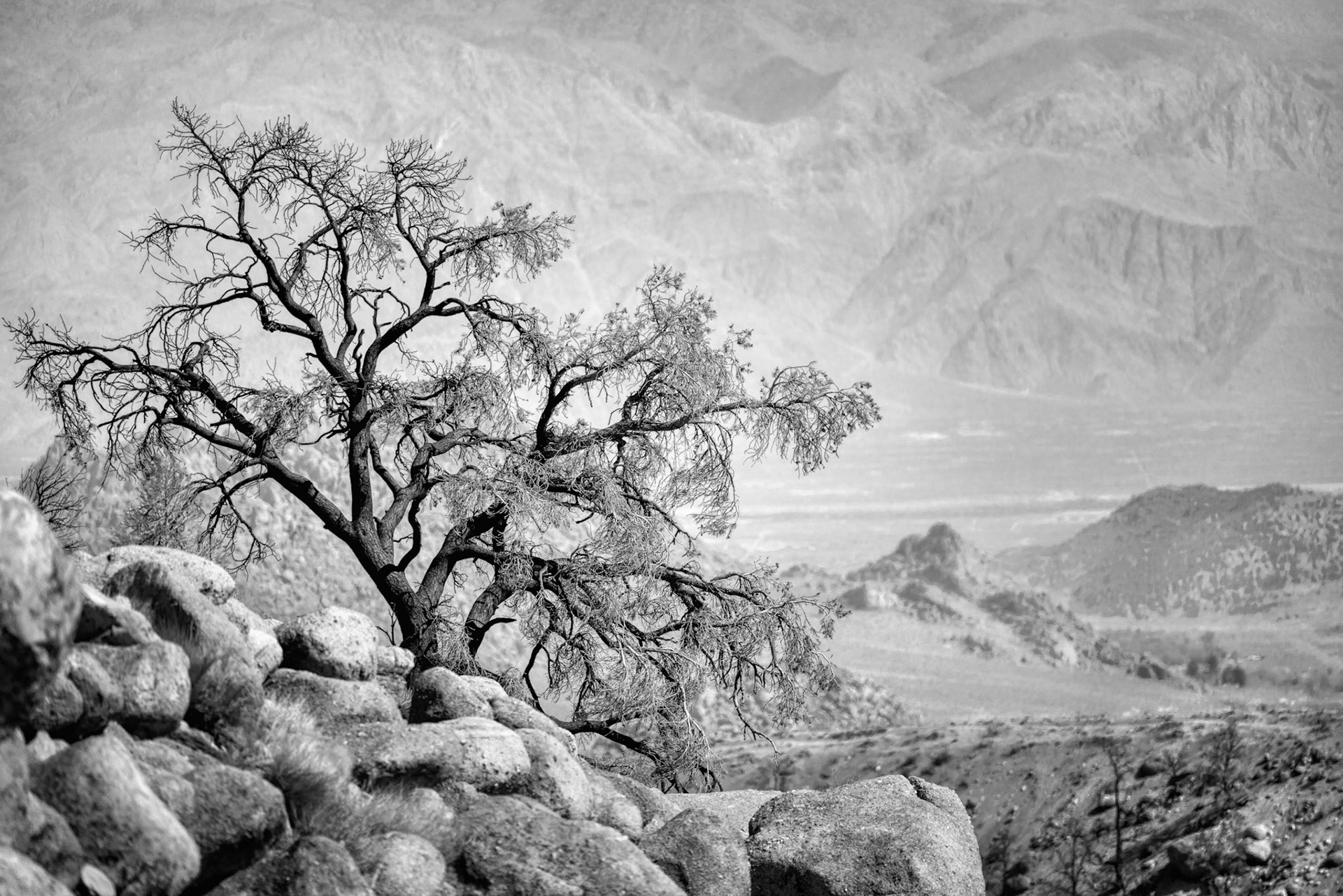 HIGH DESERT ENDURANCE