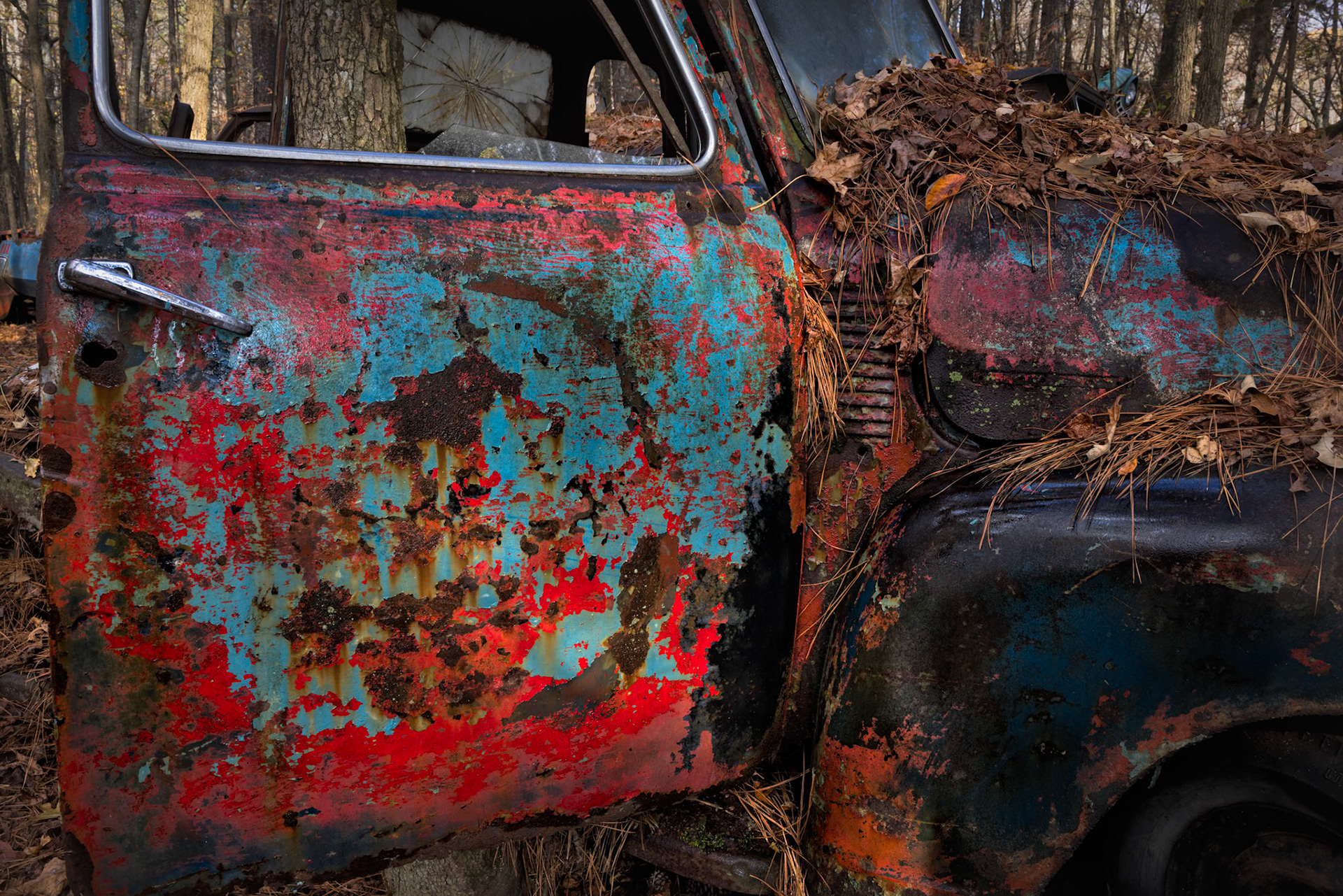 PAINTED BY RUST I