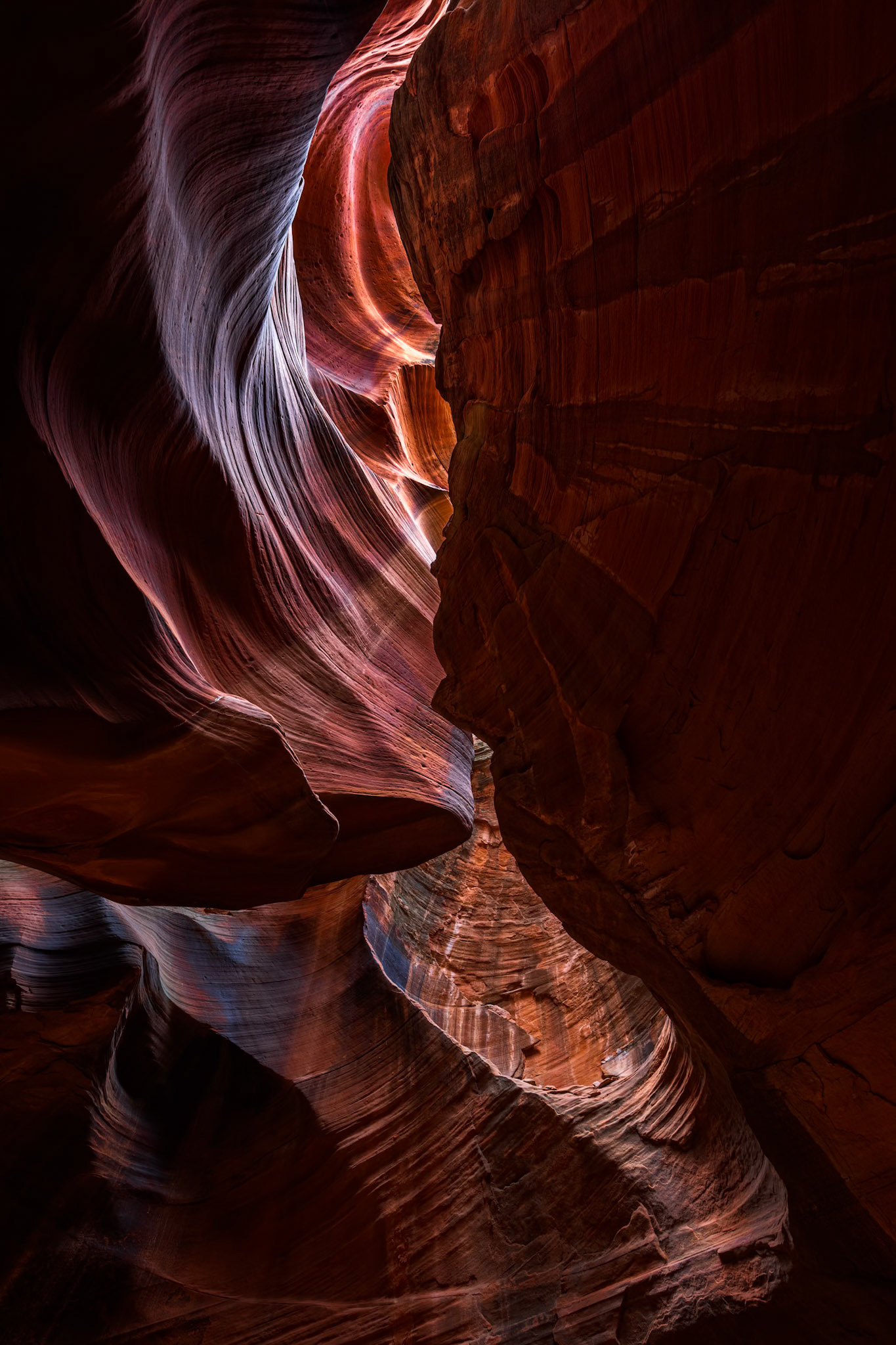 LIGHT FINDS A PATH