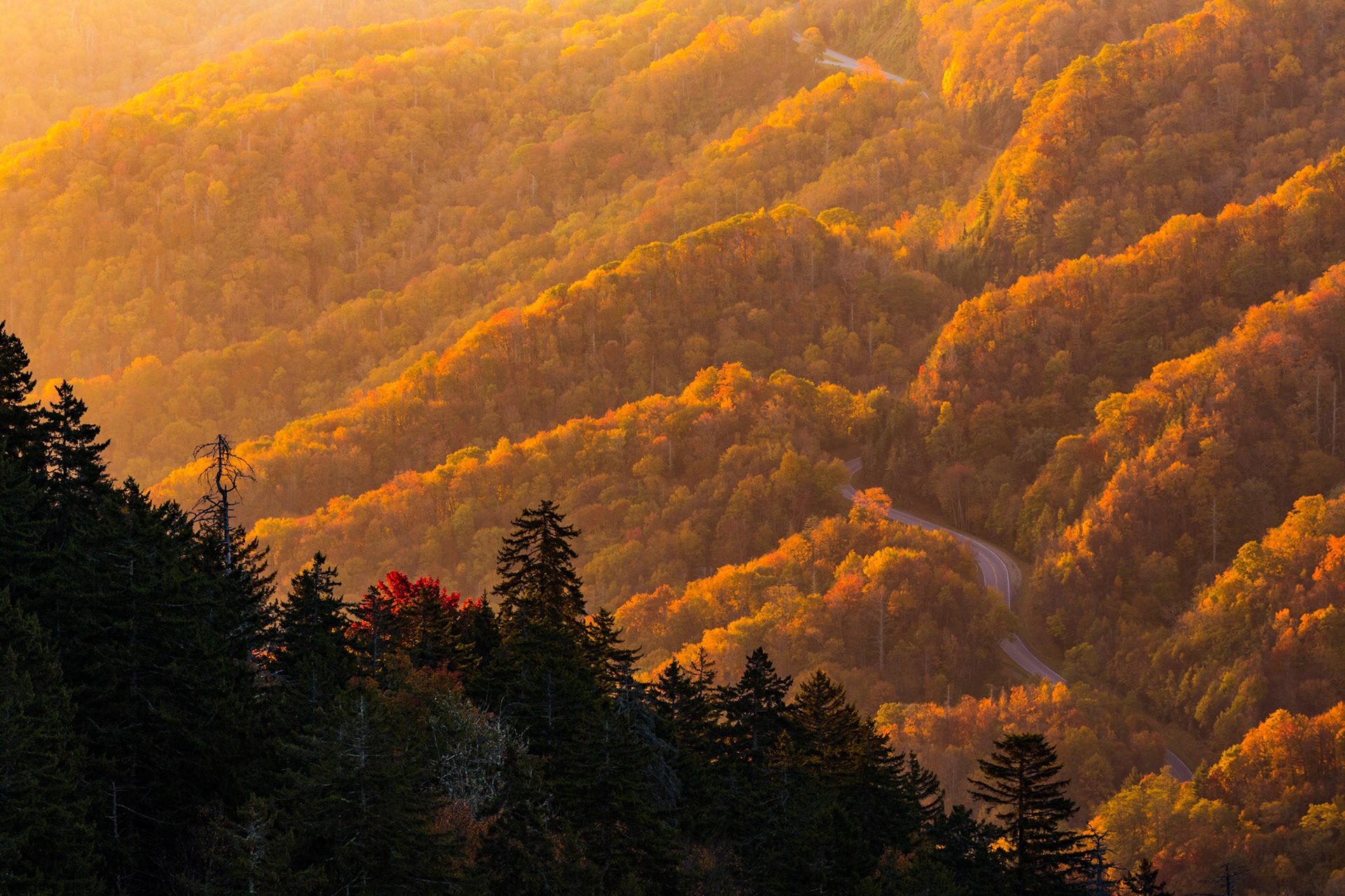GREAT SMOKY MOUNTAIN NATIONAL PARK