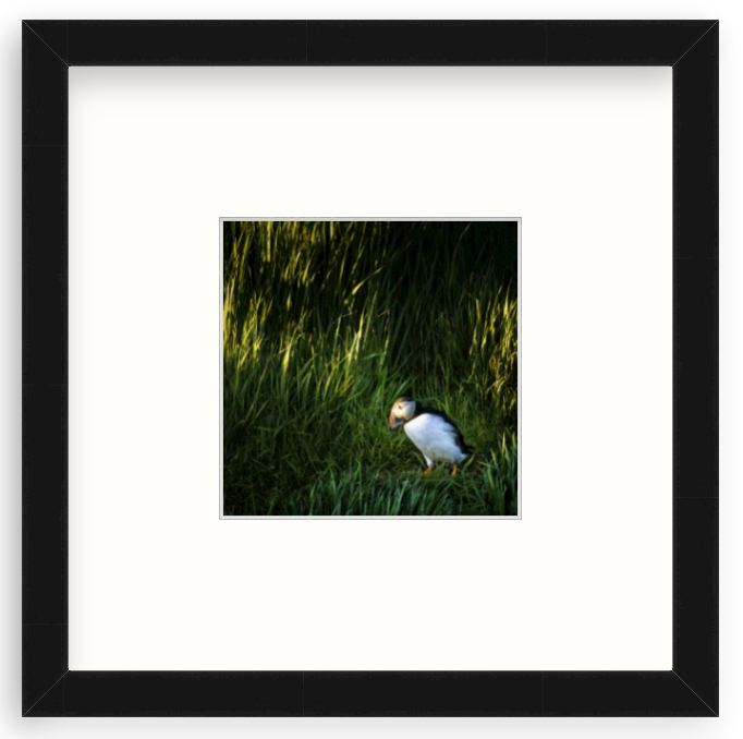 MINI: 5X5 PRINT WITH 11X11 FRAME