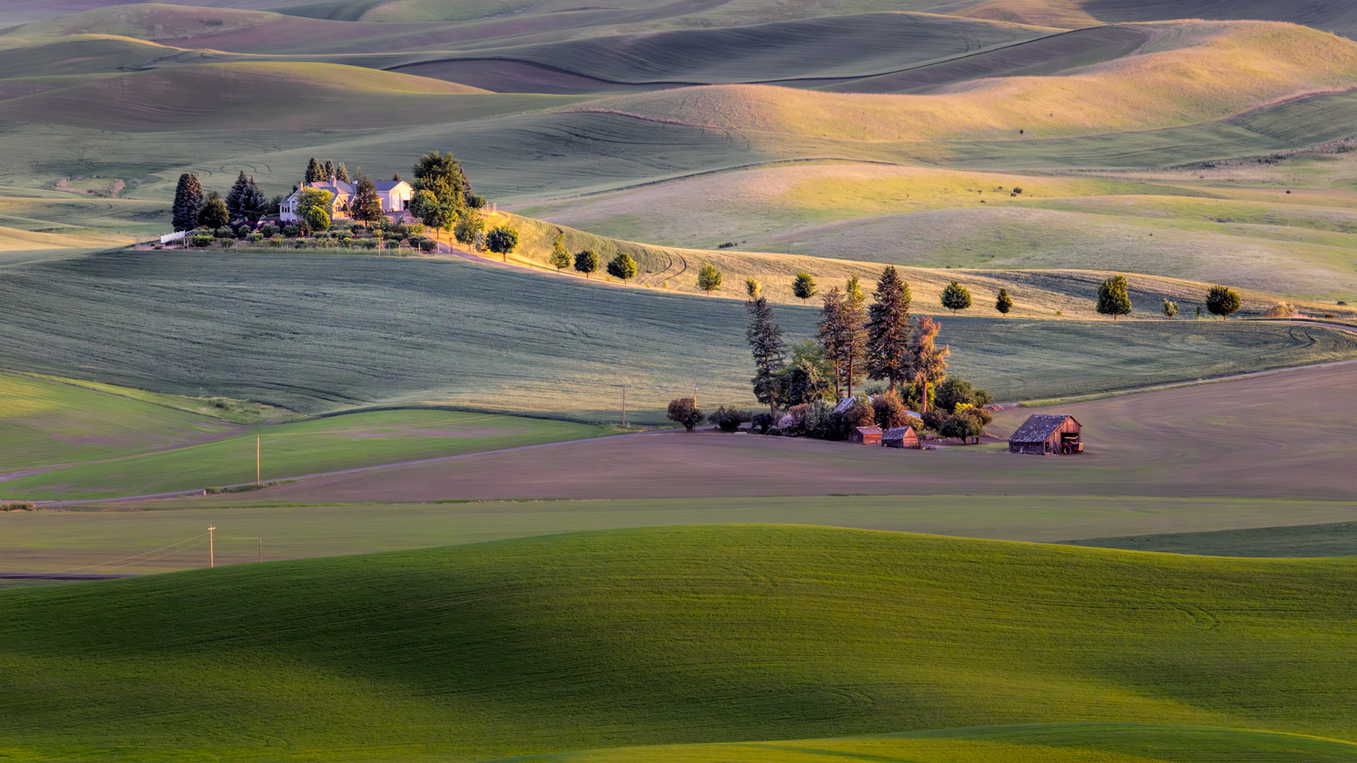 PASTORAL GRACE