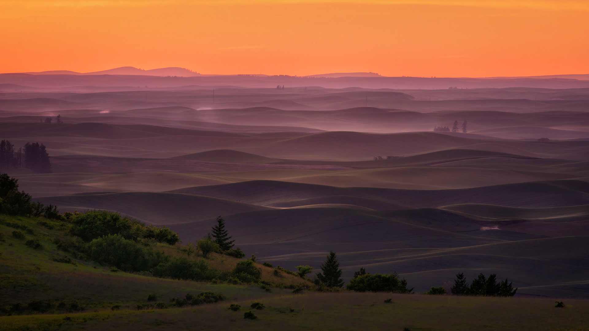 MOODY UNDULATIONS