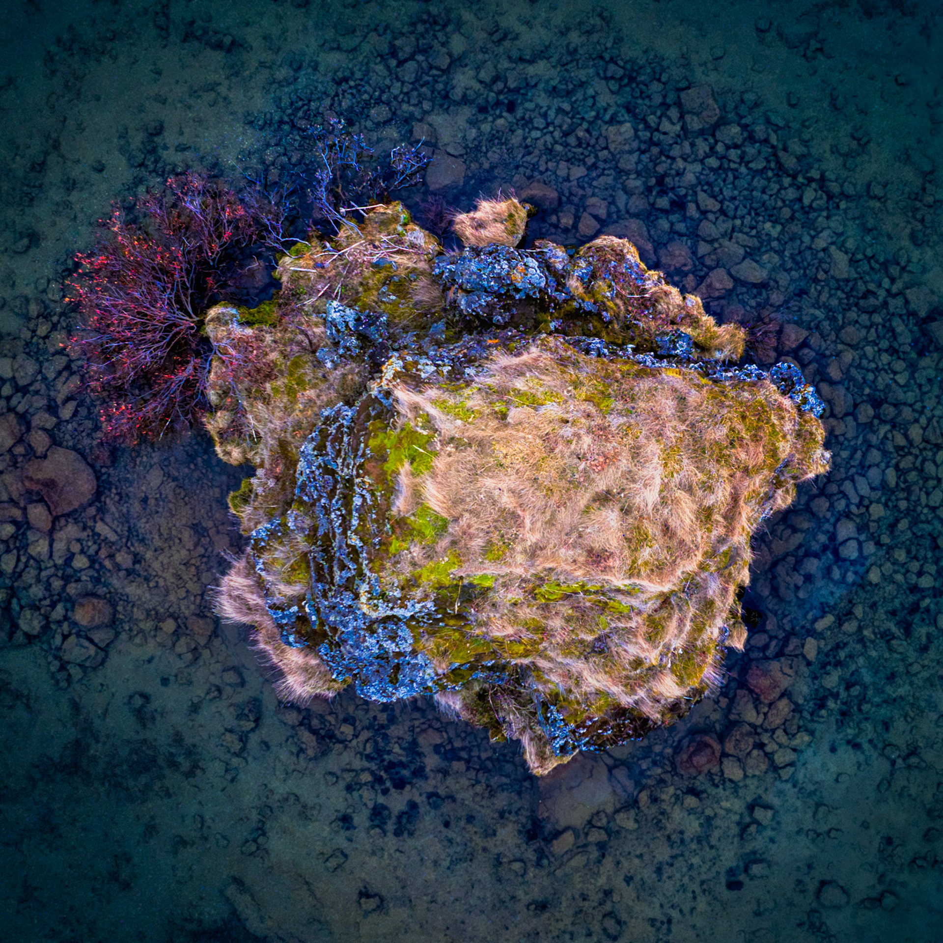WINTER'S EXCEPTION  |  Winter had firmly taken hold of Lake Mývatn. The surrounding waters were locked beneath a sheet of ice, yet this tiny island remained surrounded by open water, a small refuge untouched by the season's grip.